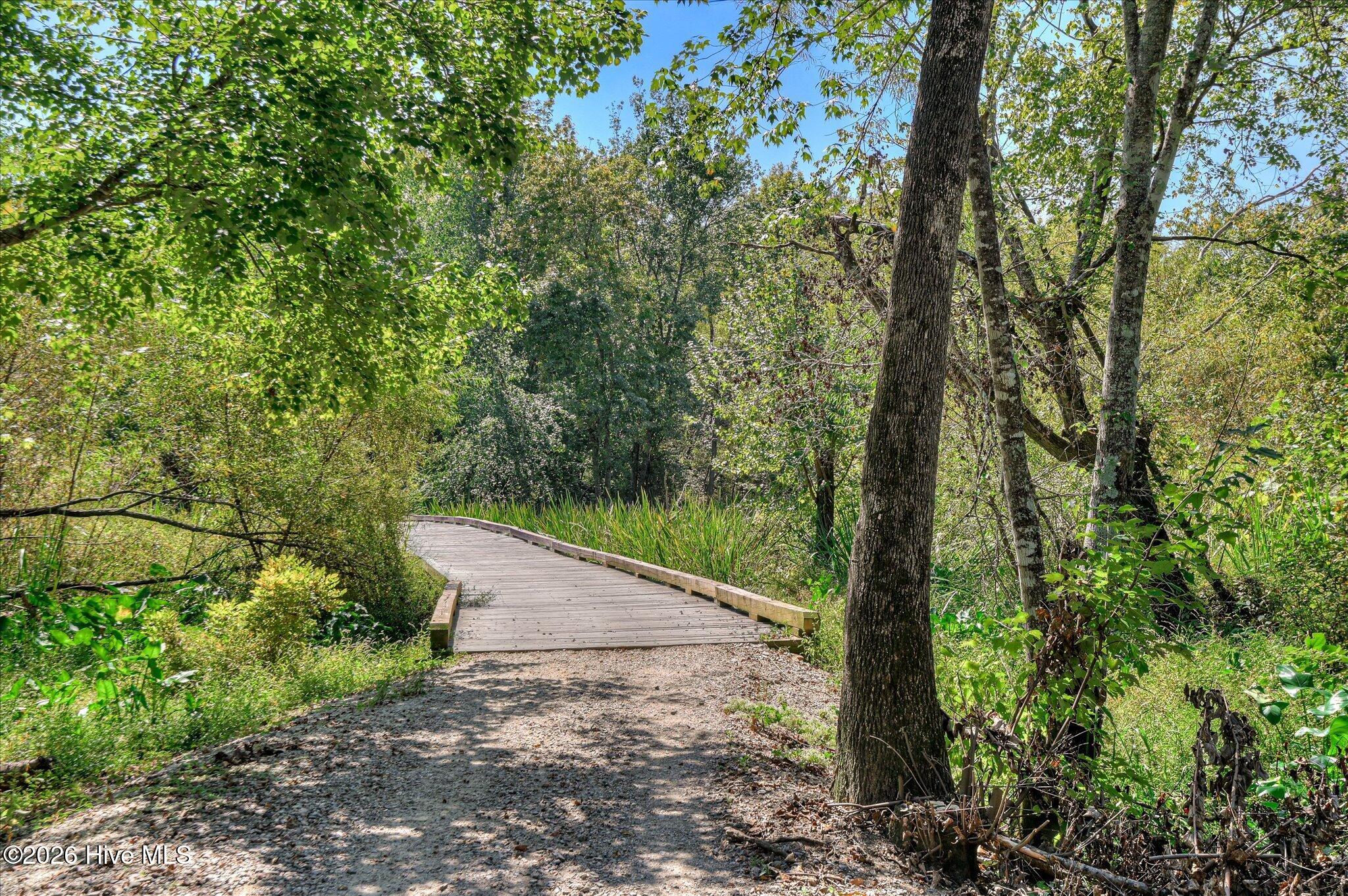 1148 Sumter Landing Circle Property Photo 86