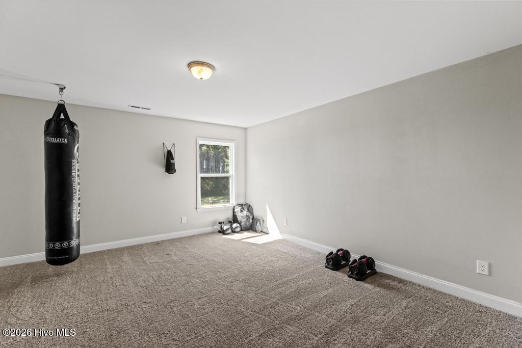 104 Percy Padgett Court Property Photo 37