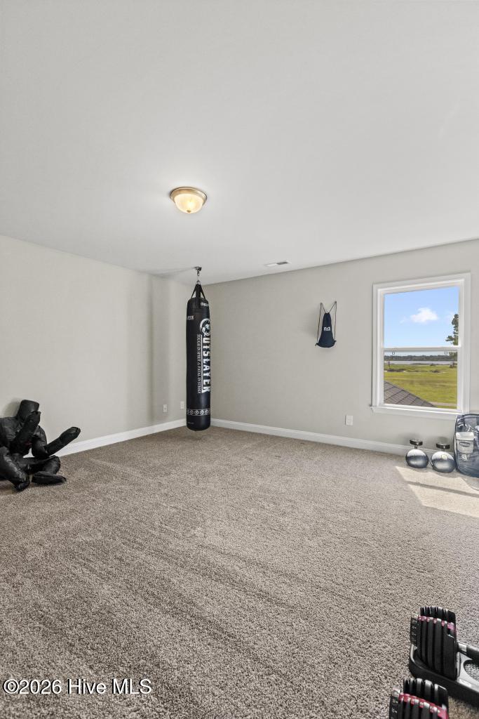 104 Percy Padgett Court Property Photo 38