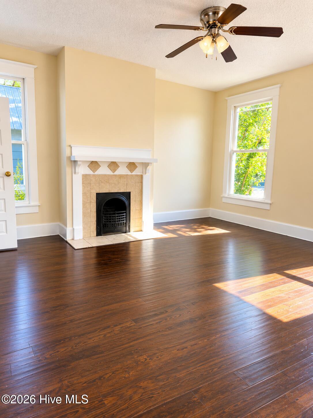 313 Ellis Street Property Photo 17