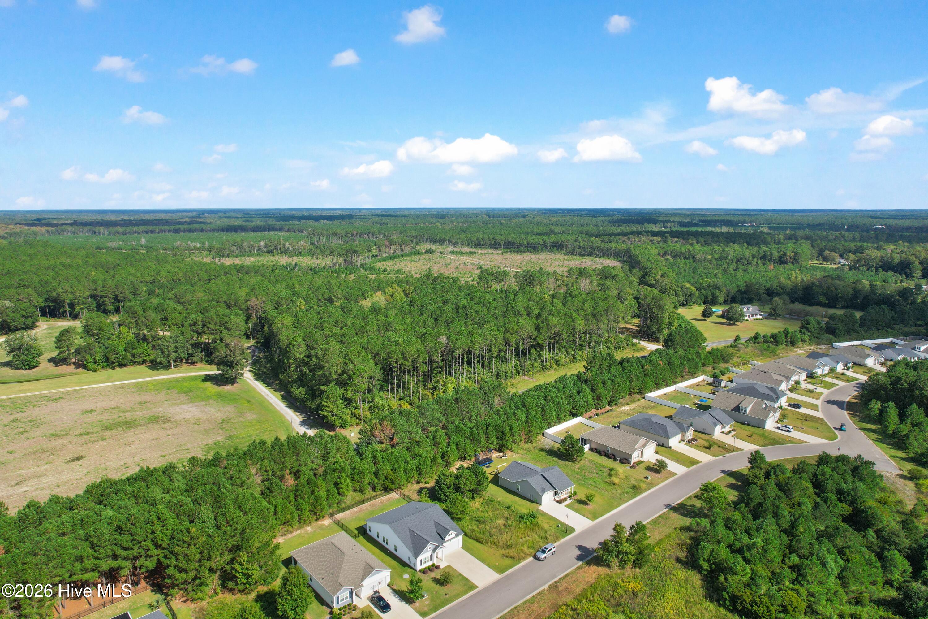 1432 Evergreen Forest Drive Se Property Photo 23