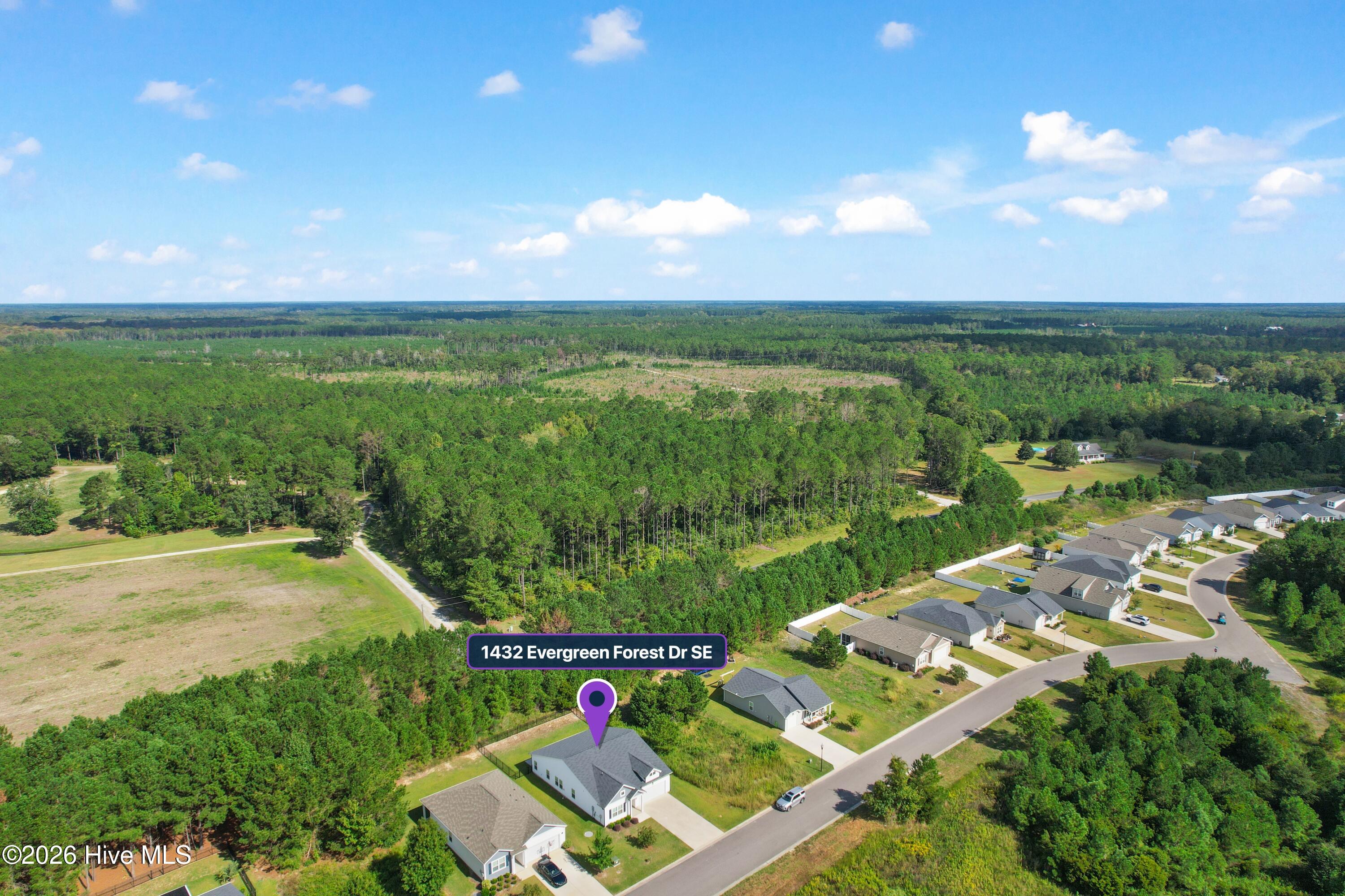 1432 Evergreen Forest Drive Se Property Photo 24