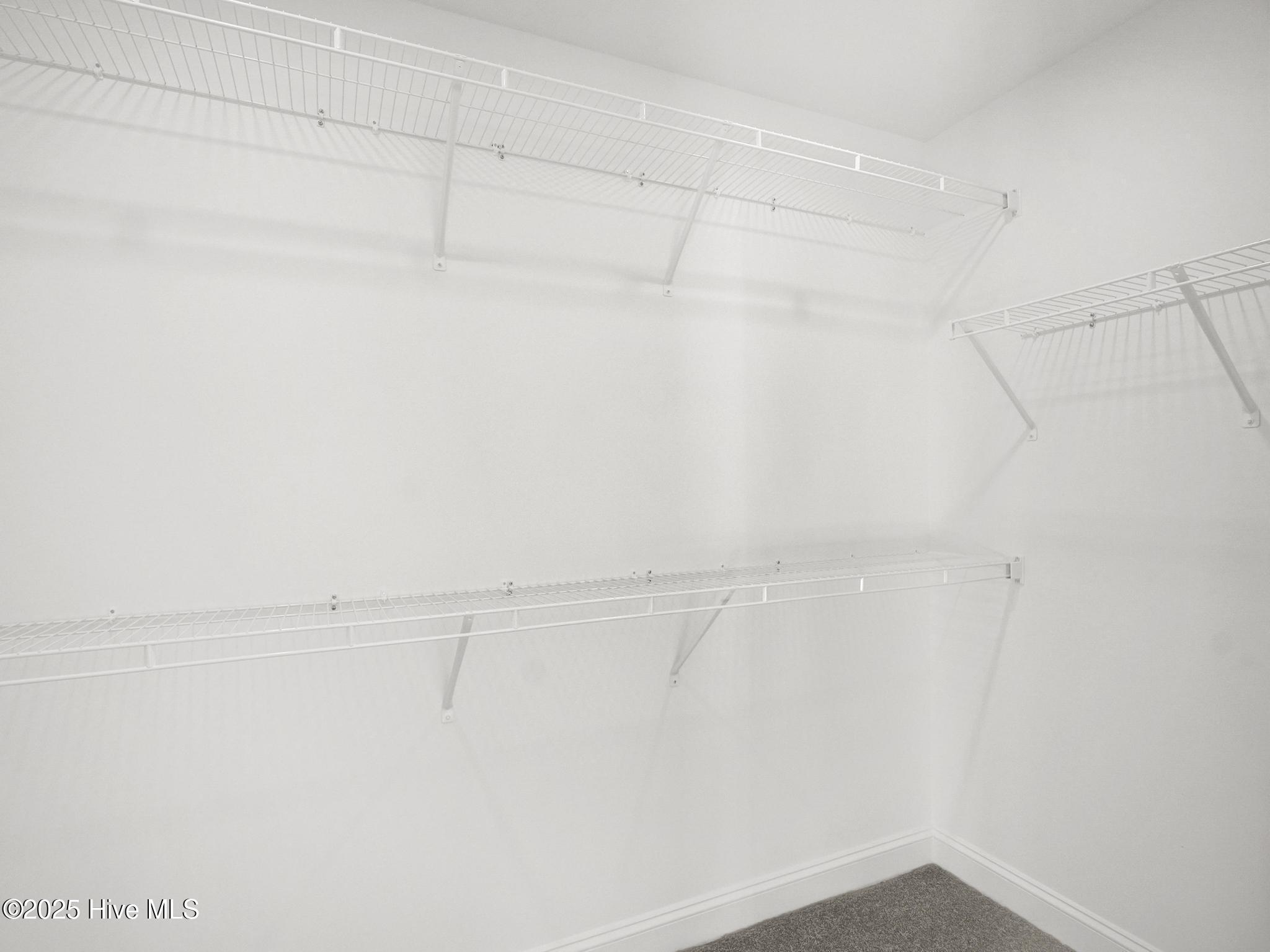 247 Townhome Lane Property Photo 18