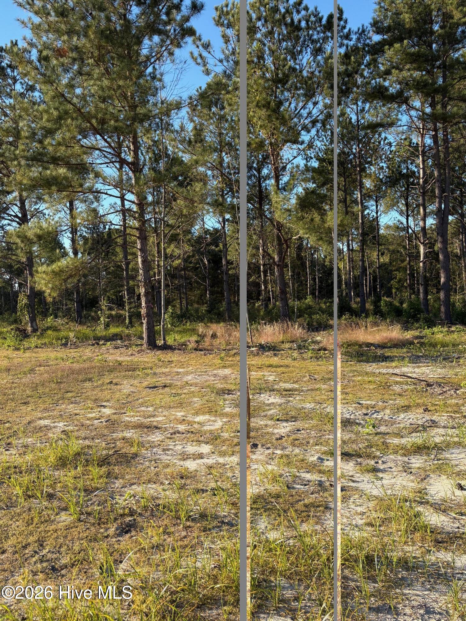 Lot 5 Tbd Gibson Road Property Photo 1