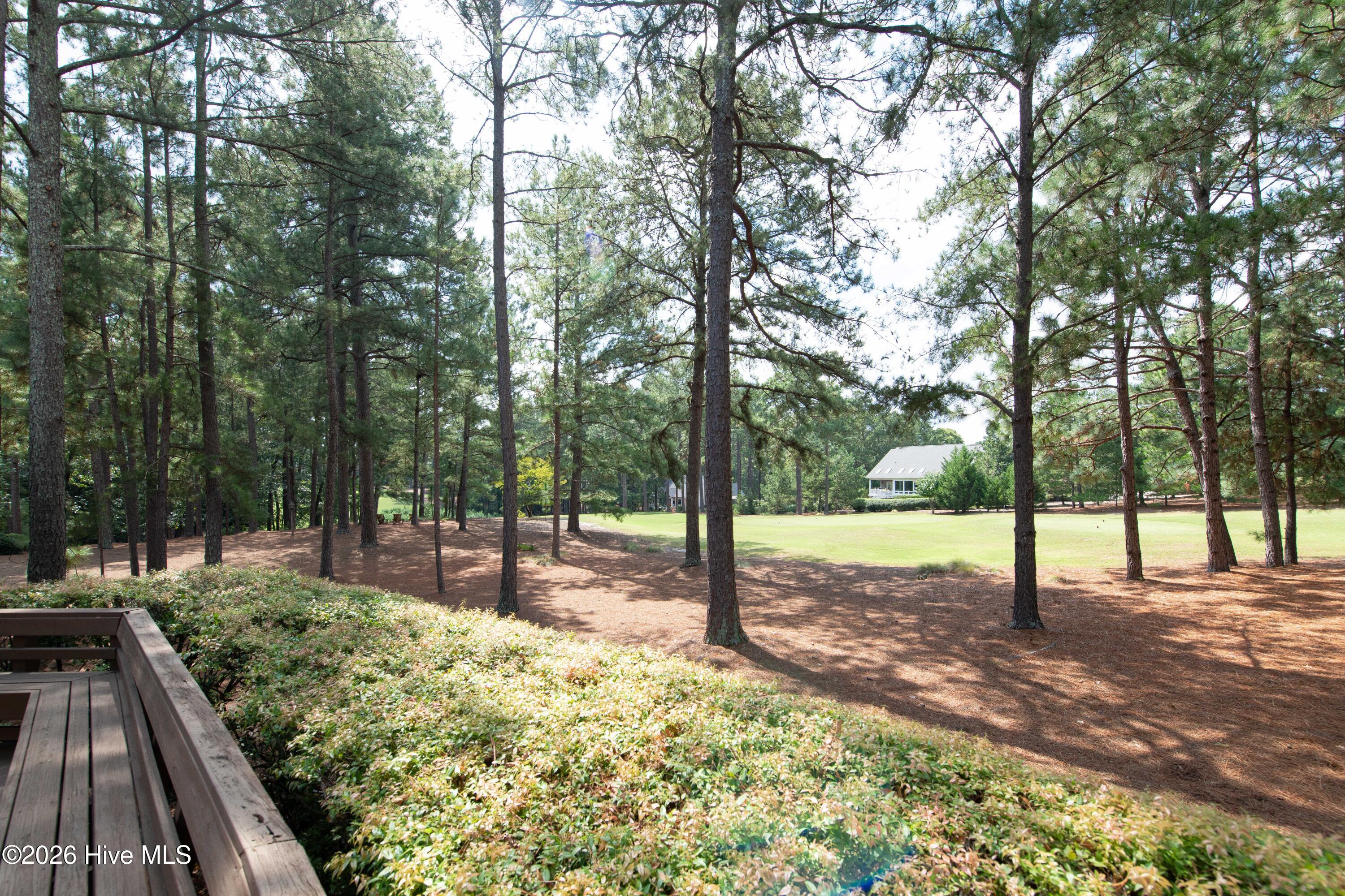 14 Mcmichael Drive Property Photo 67