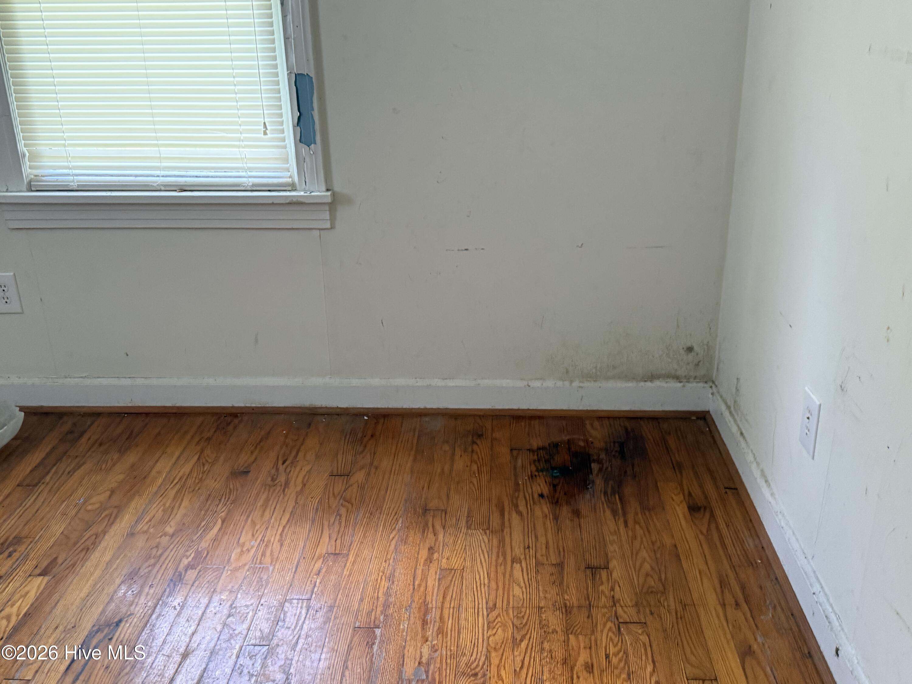 217 N Edgewood Avenue Property Photo 16