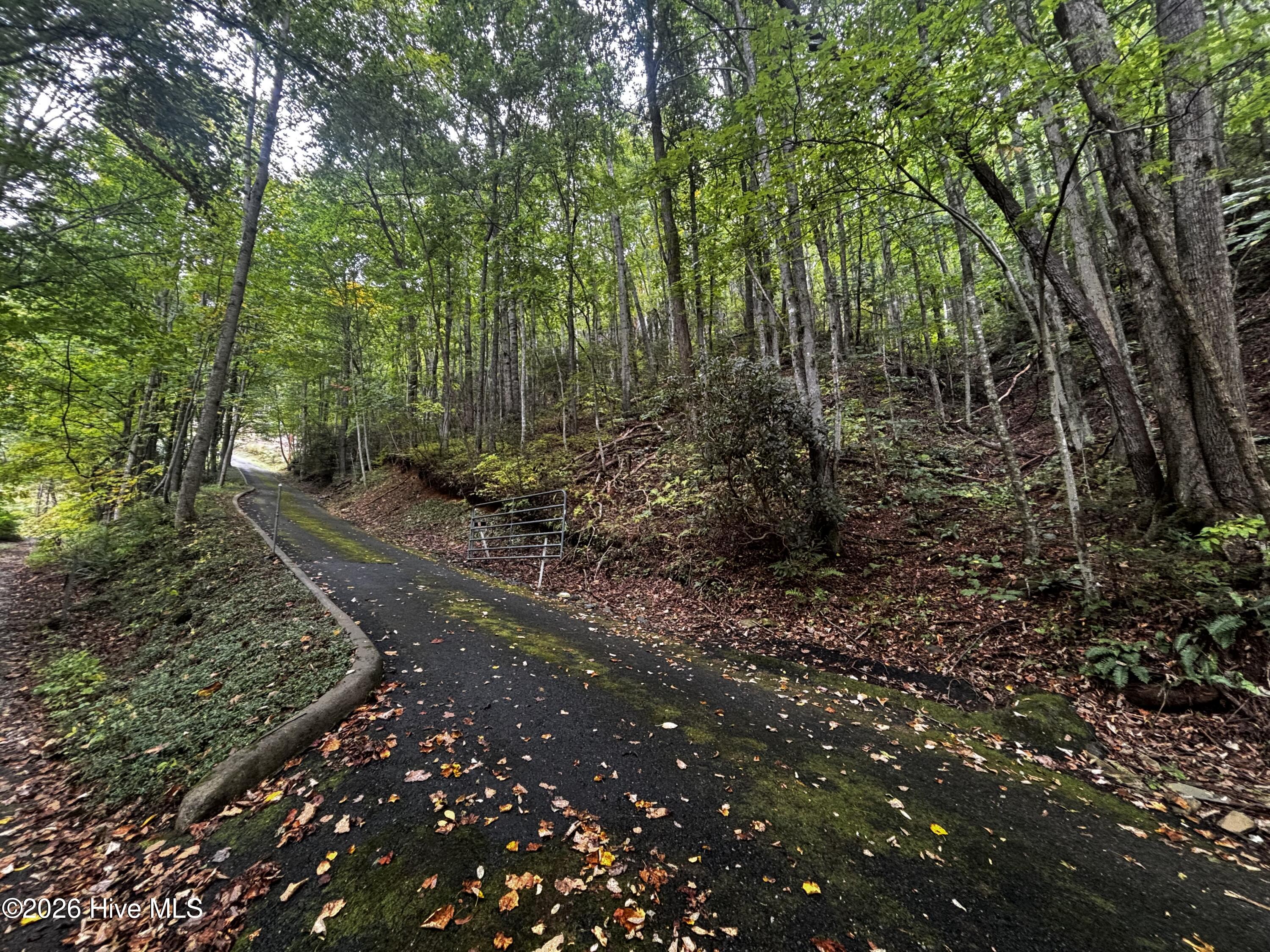 4779 Junaluska Road Property Photo 2