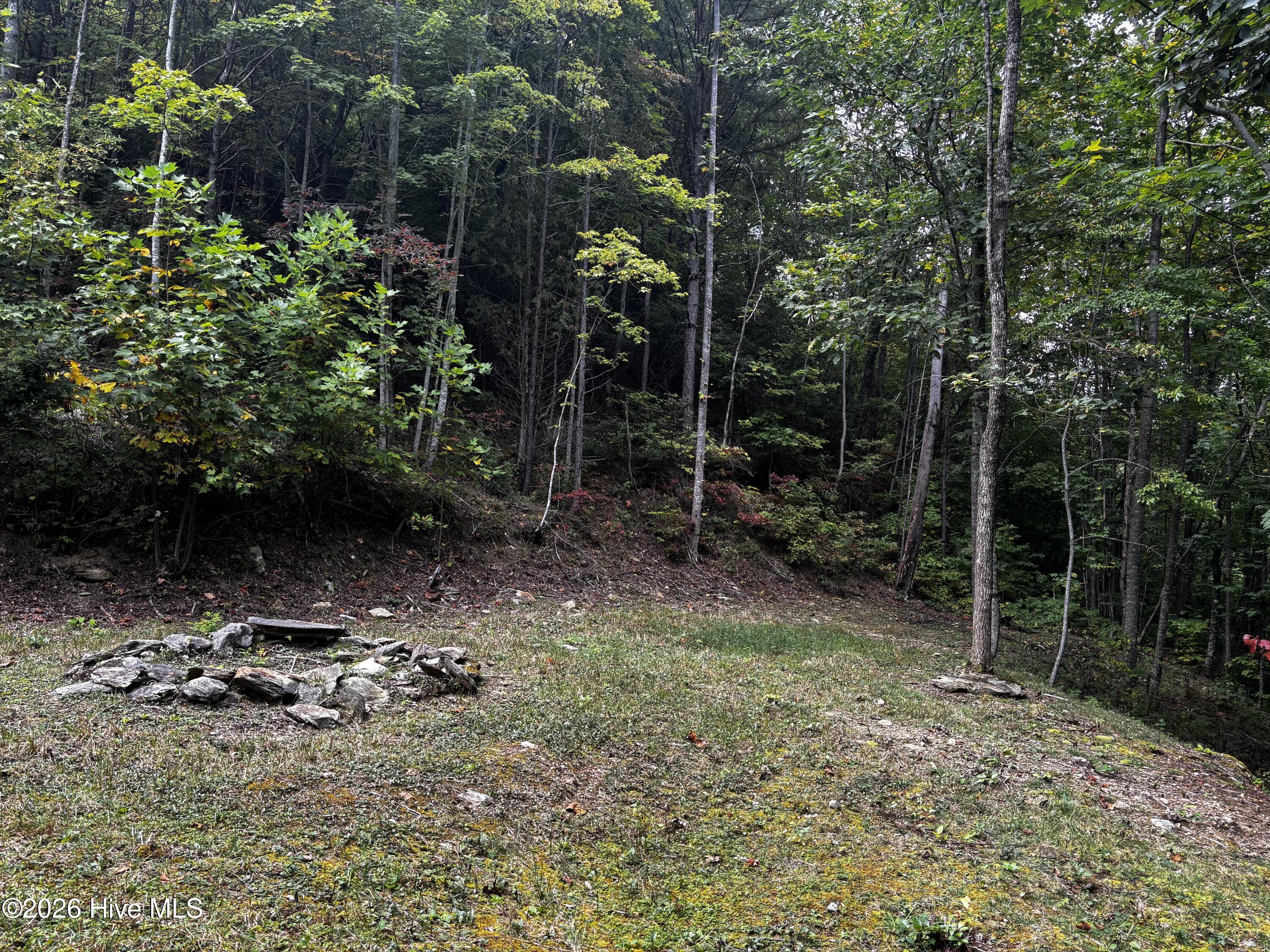 4779 Junaluska Road Property Photo 7