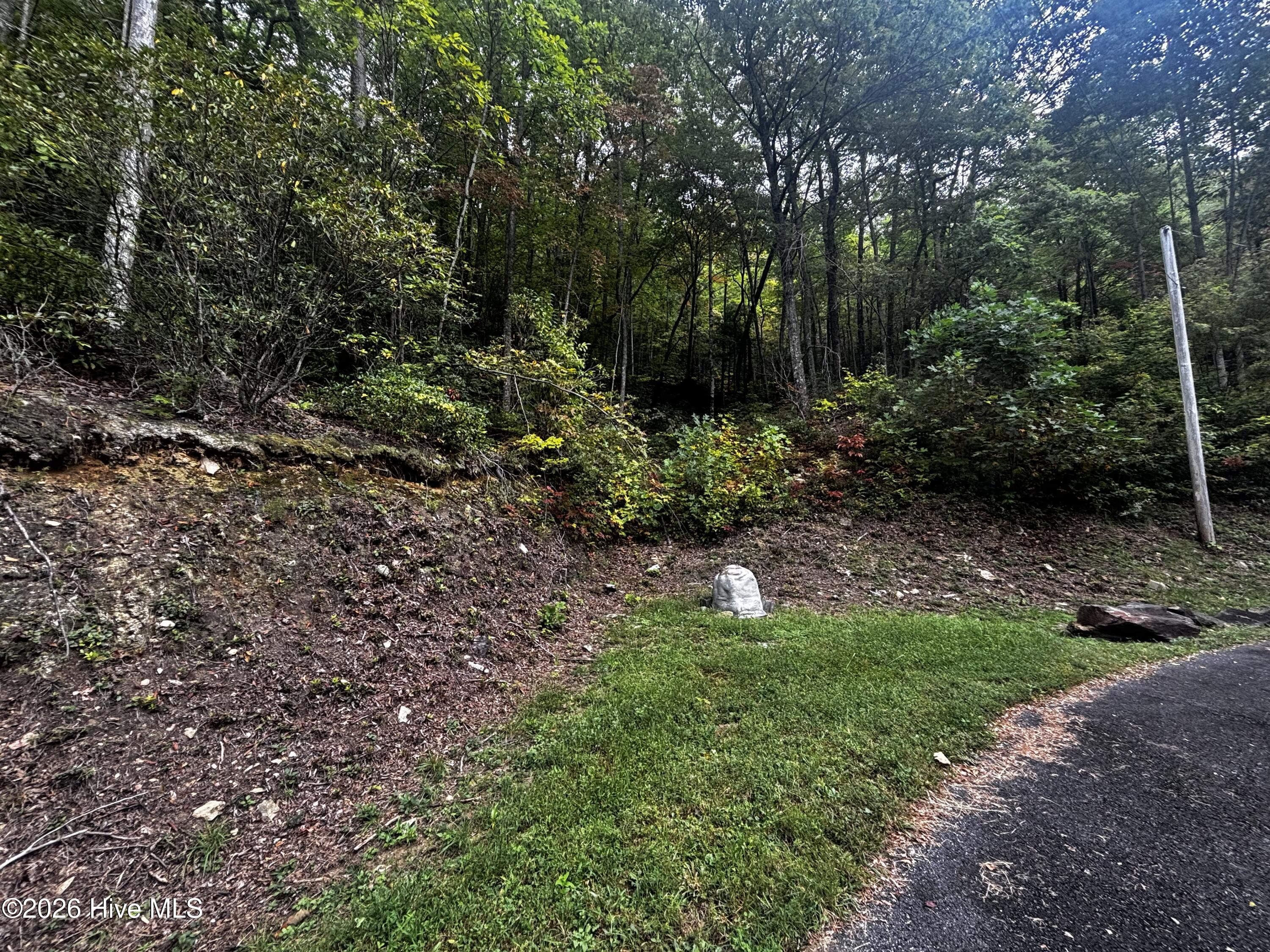 4779 Junaluska Road Property Photo 23