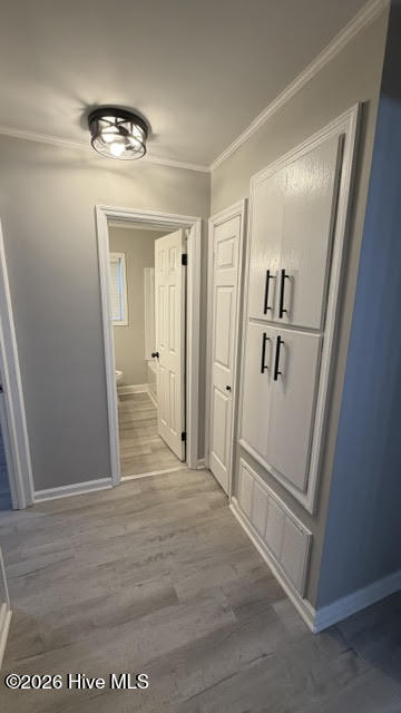 419 Audey Drive Property Photo 18