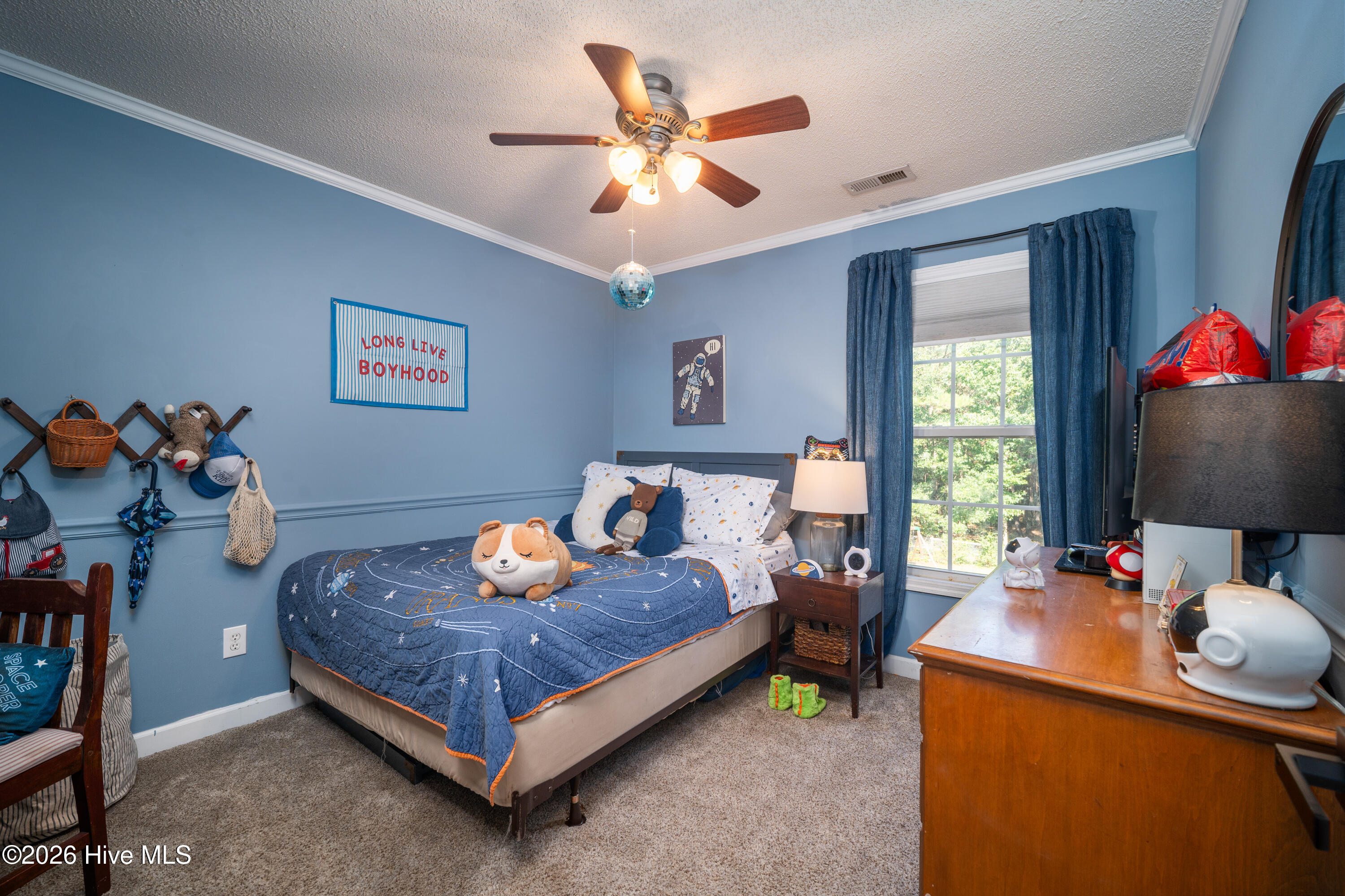 217 English Walnut Drive Property Photo 23