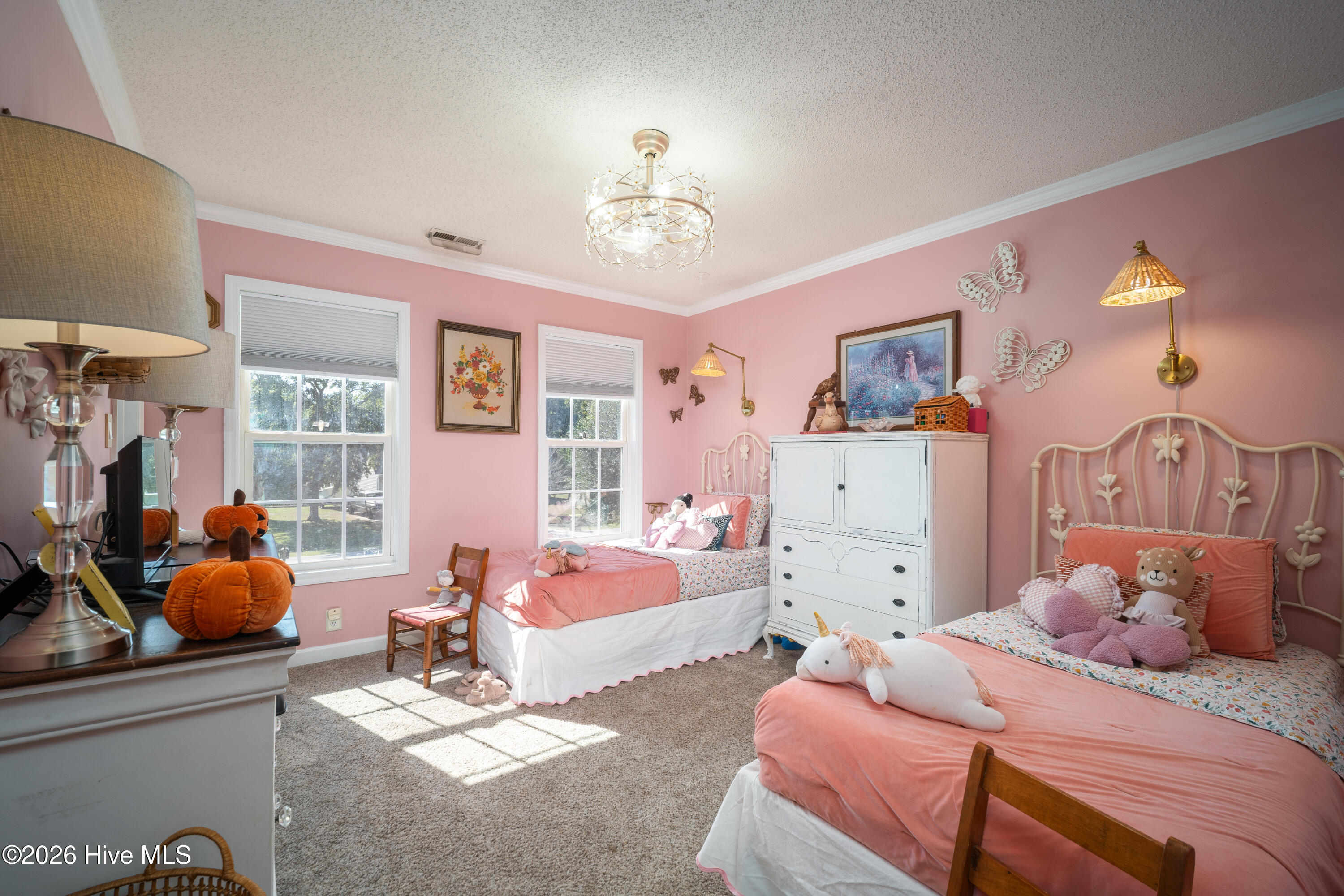 217 English Walnut Drive Property Photo 24
