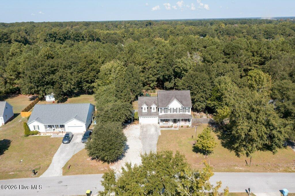 217 English Walnut Drive Property Photo 39