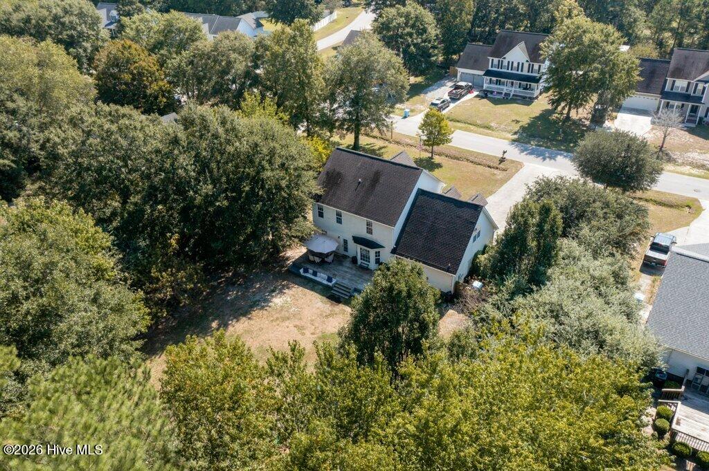 217 English Walnut Drive Property Photo 40