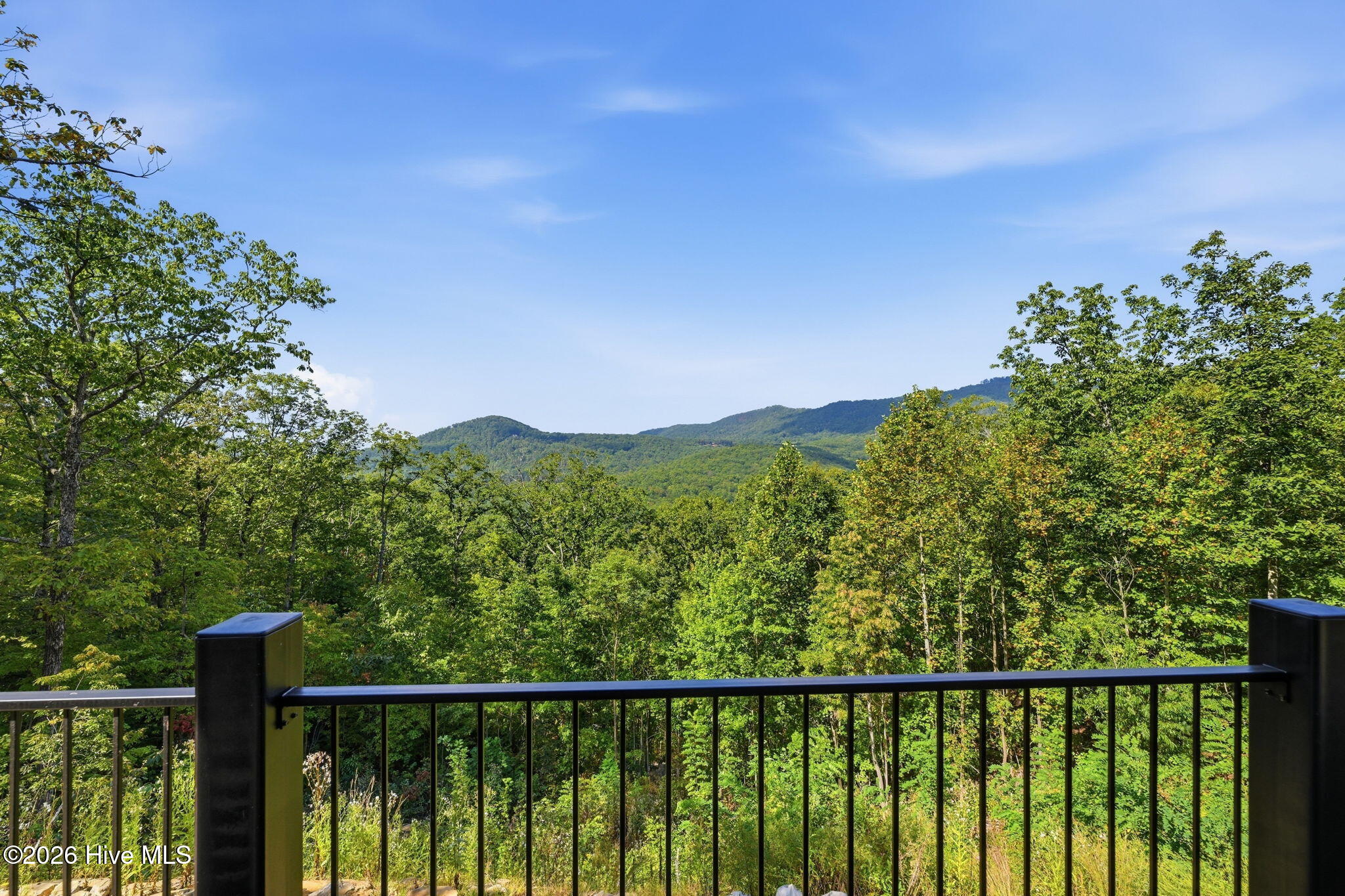58 Mutt Ridge Property Photo 20