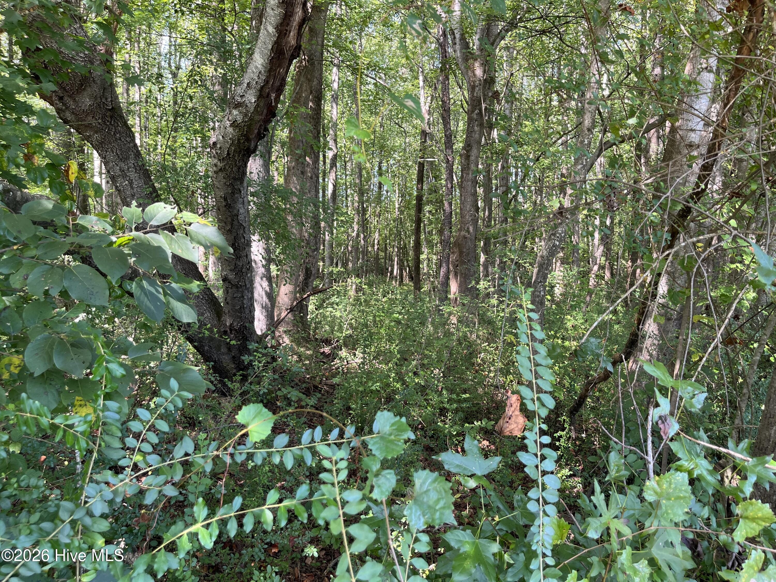 9011 Pleasant Grove Church Road Property Photo 3
