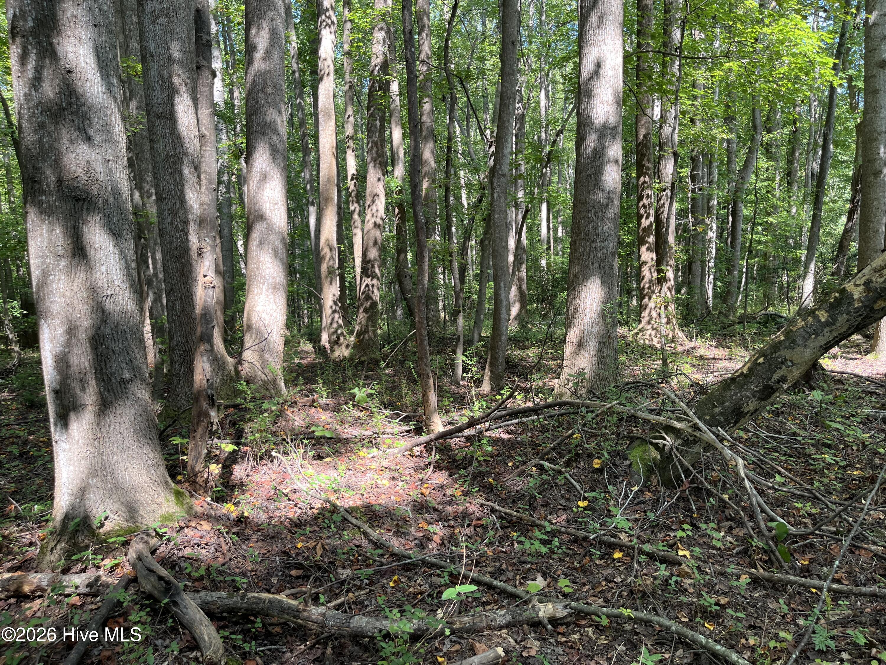 9011 Pleasant Grove Church Road Property Photo 4