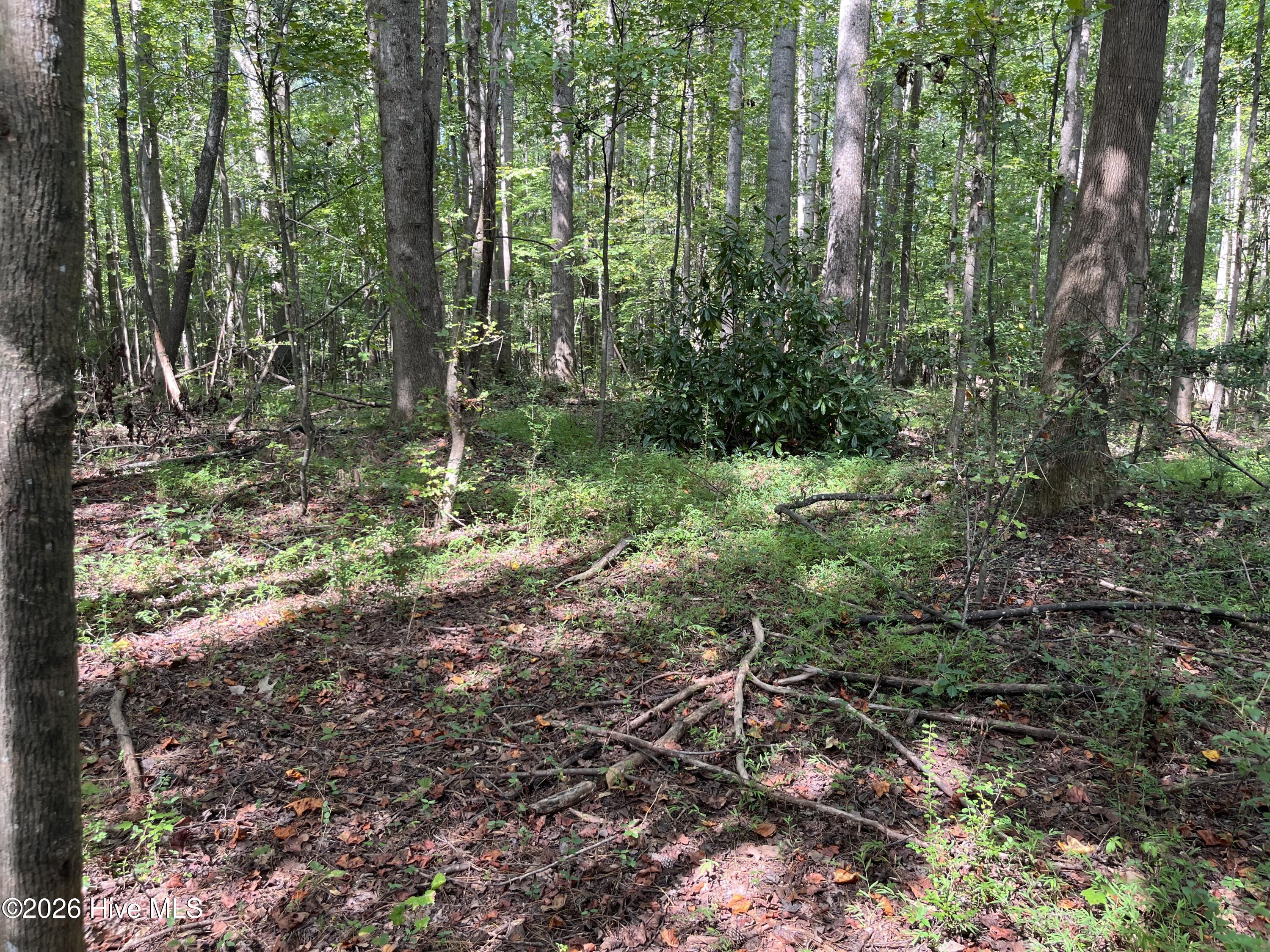 9011 Pleasant Grove Church Road Property Photo 6