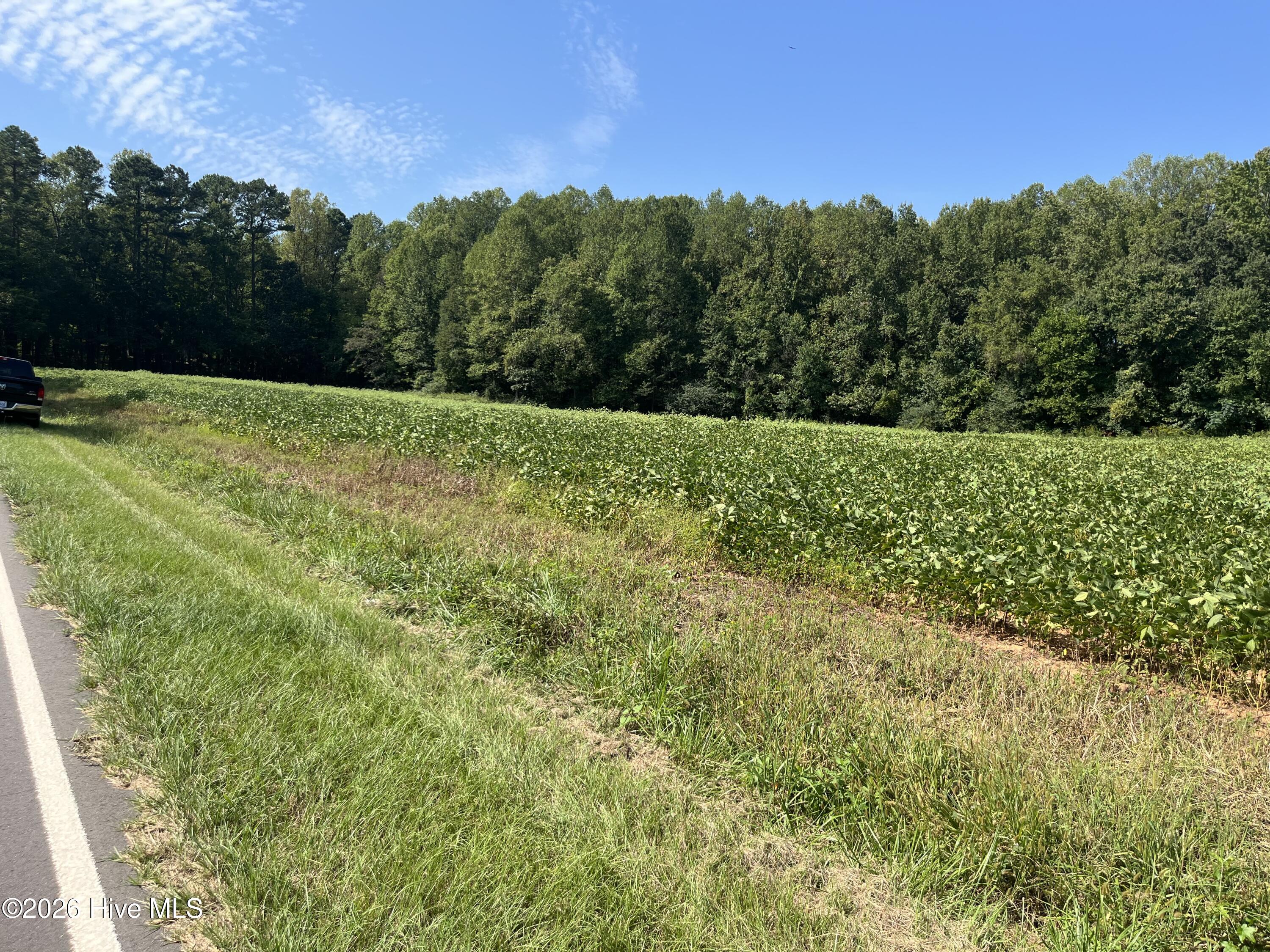 9011 Pleasant Grove Church Road Property Photo 10