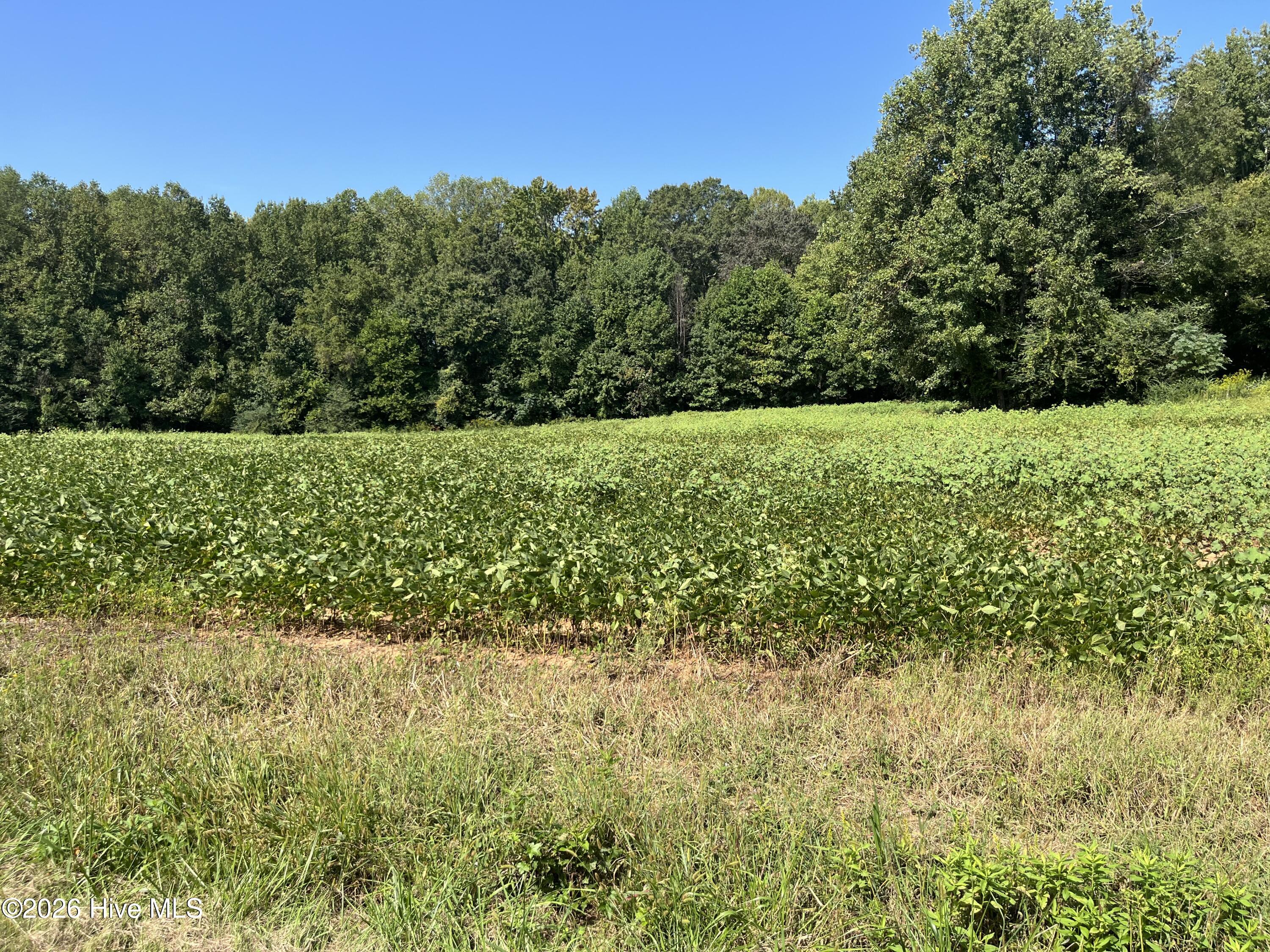9011 Pleasant Grove Church Road Property Photo 11