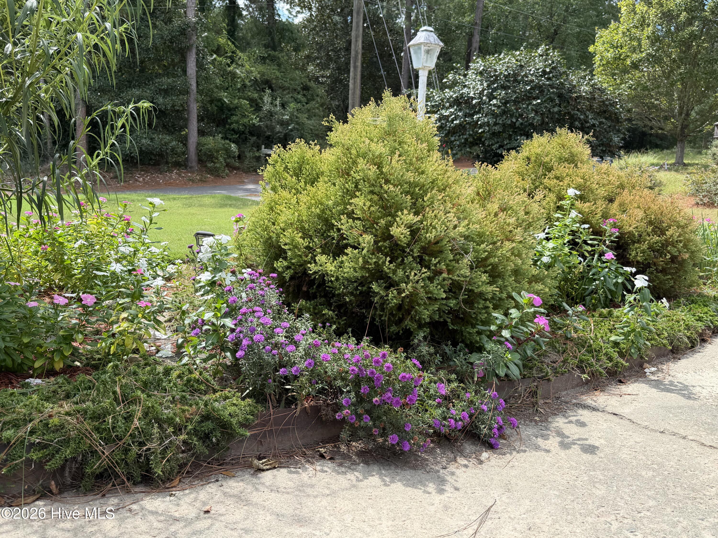 3215 Colonial Drive Property Photo 8