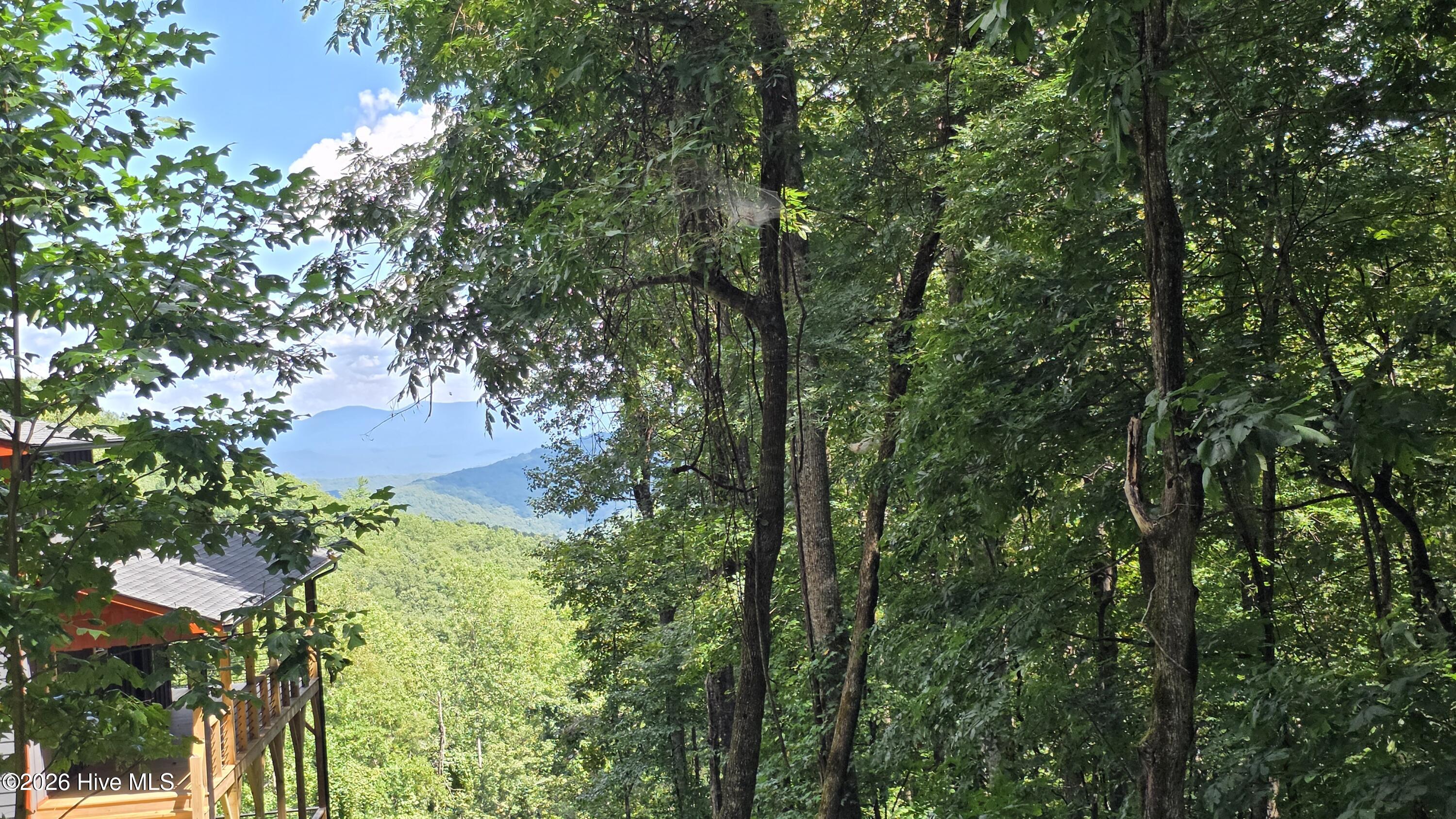 Lot 1-2 Scenic Vista Drive Property Photo 1