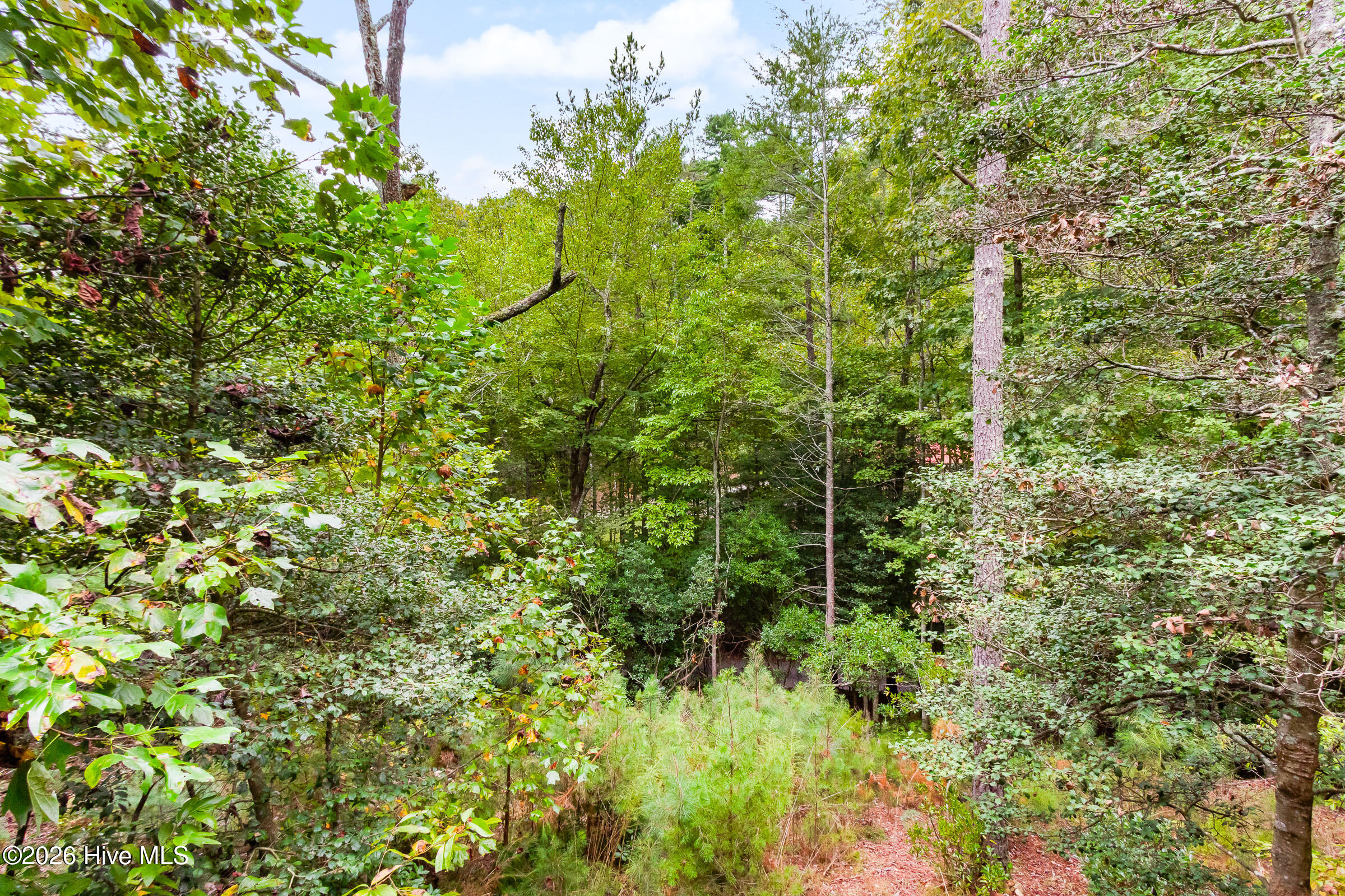 215 Quail Drive Property Photo 43