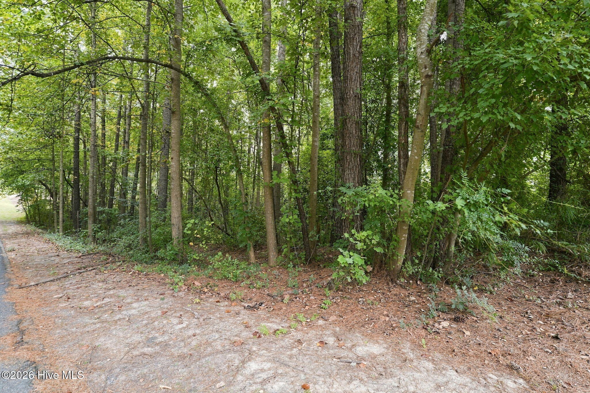 134 Bellhaven Drive Property Photo 3