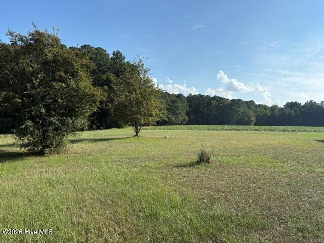 6171 Old Raleigh Road Property Photo 8