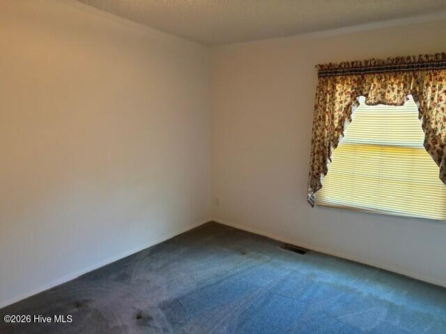 6171 Old Raleigh Road Property Photo 22