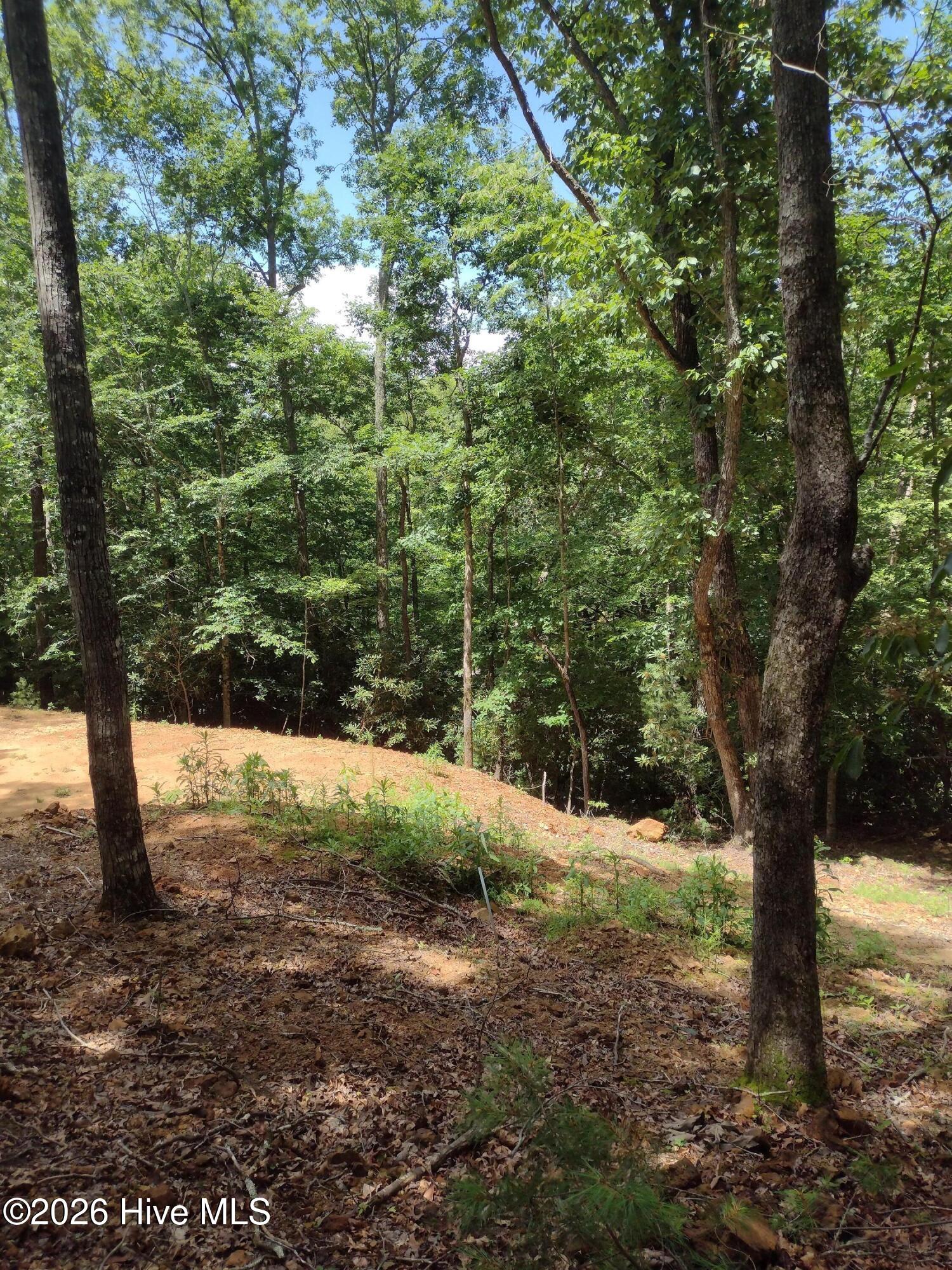 20 20 Radiant Cove Property Photo 9