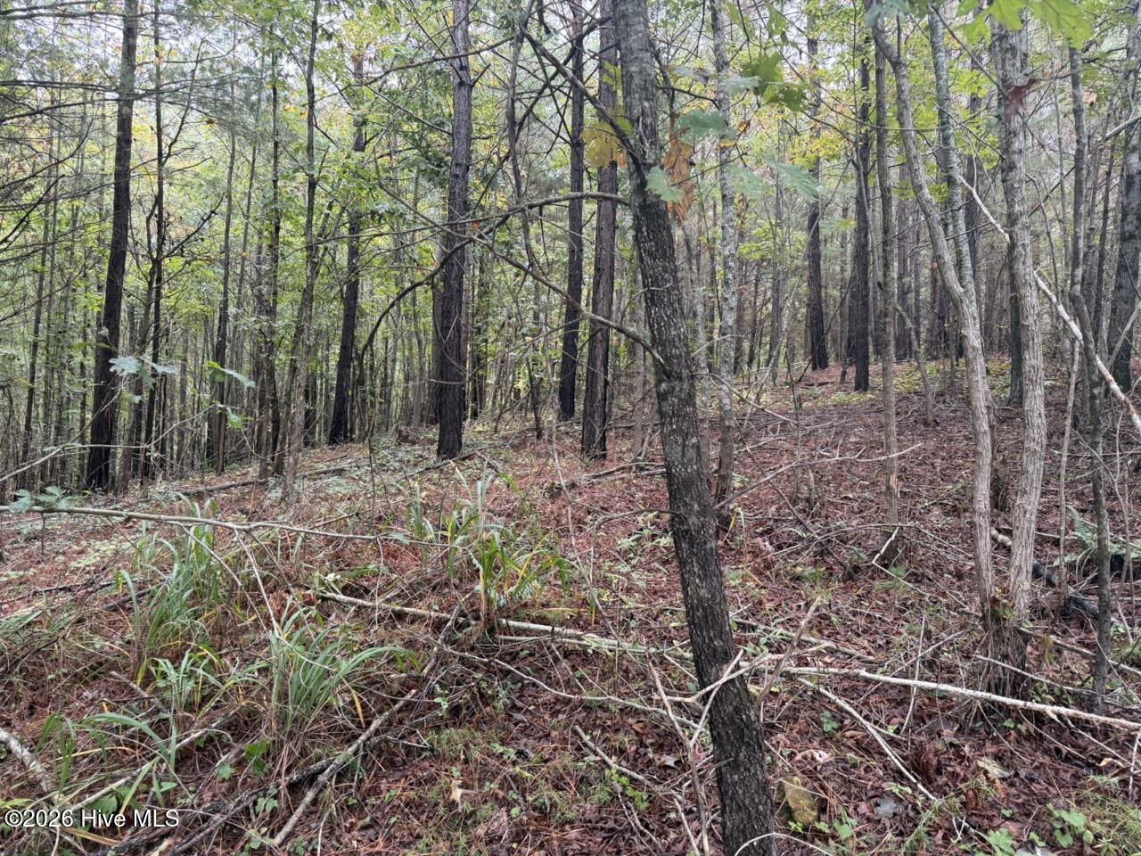 1440 Upper Bear Paw Road Property Photo 1