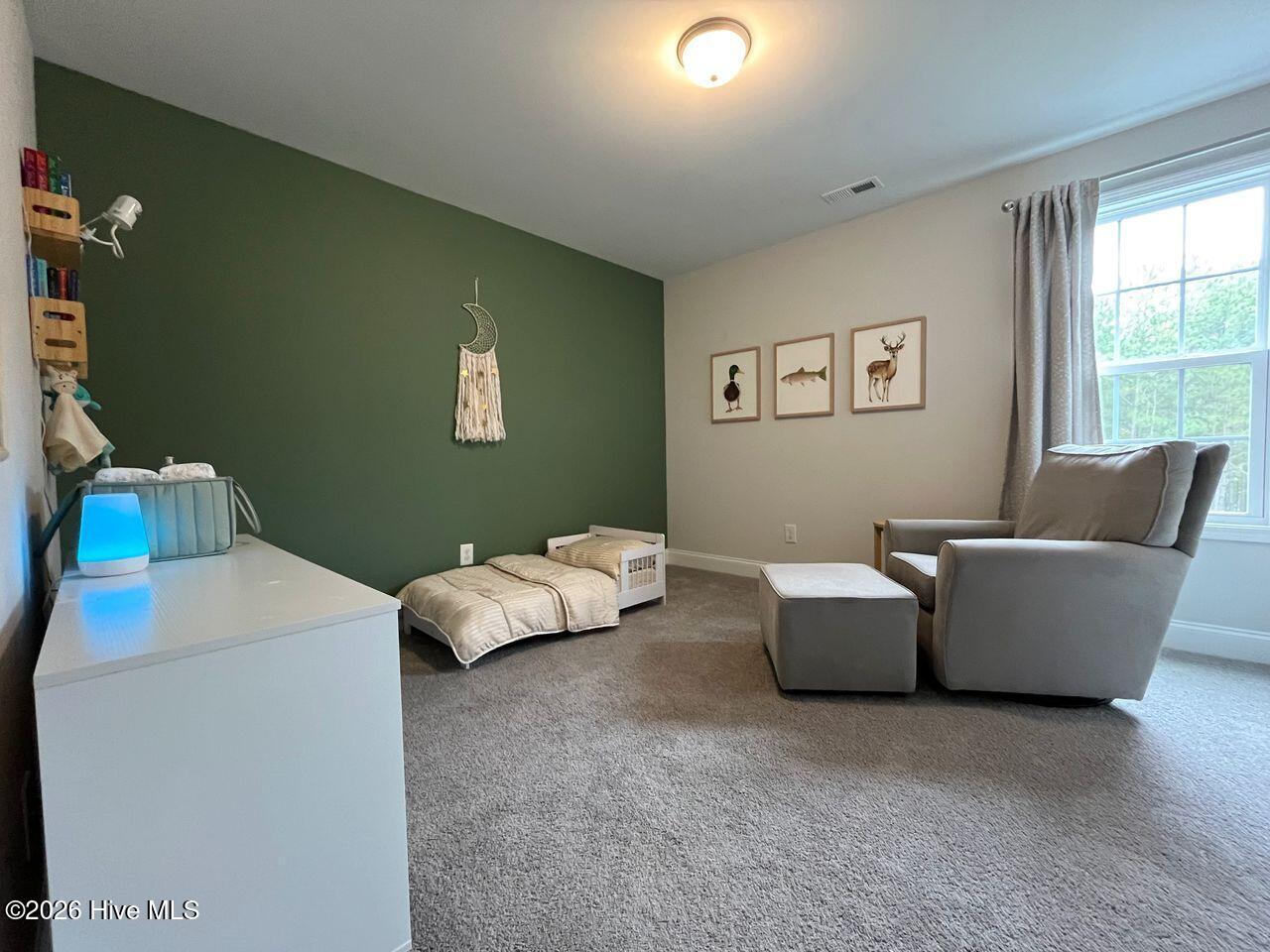211 High Branch Drive Property Photo 30