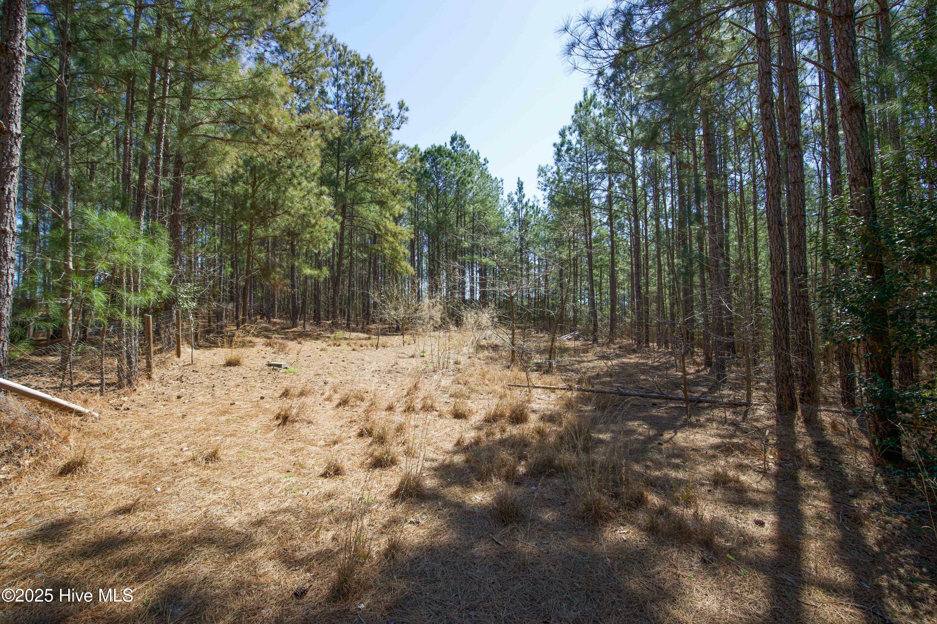 190 Dicks Hill Road Property Photo 65