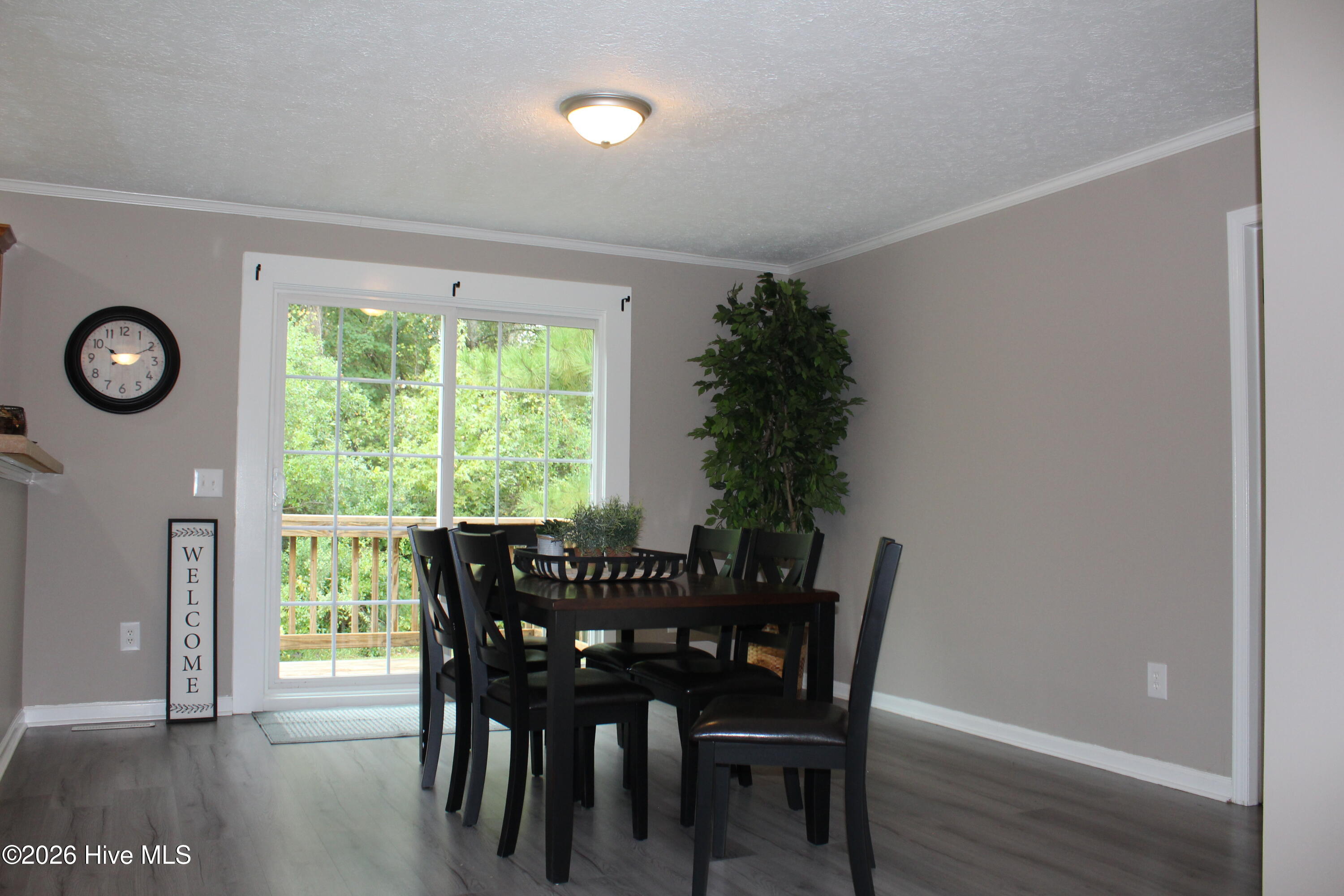 1174 Haw Branch Road Property Photo 6