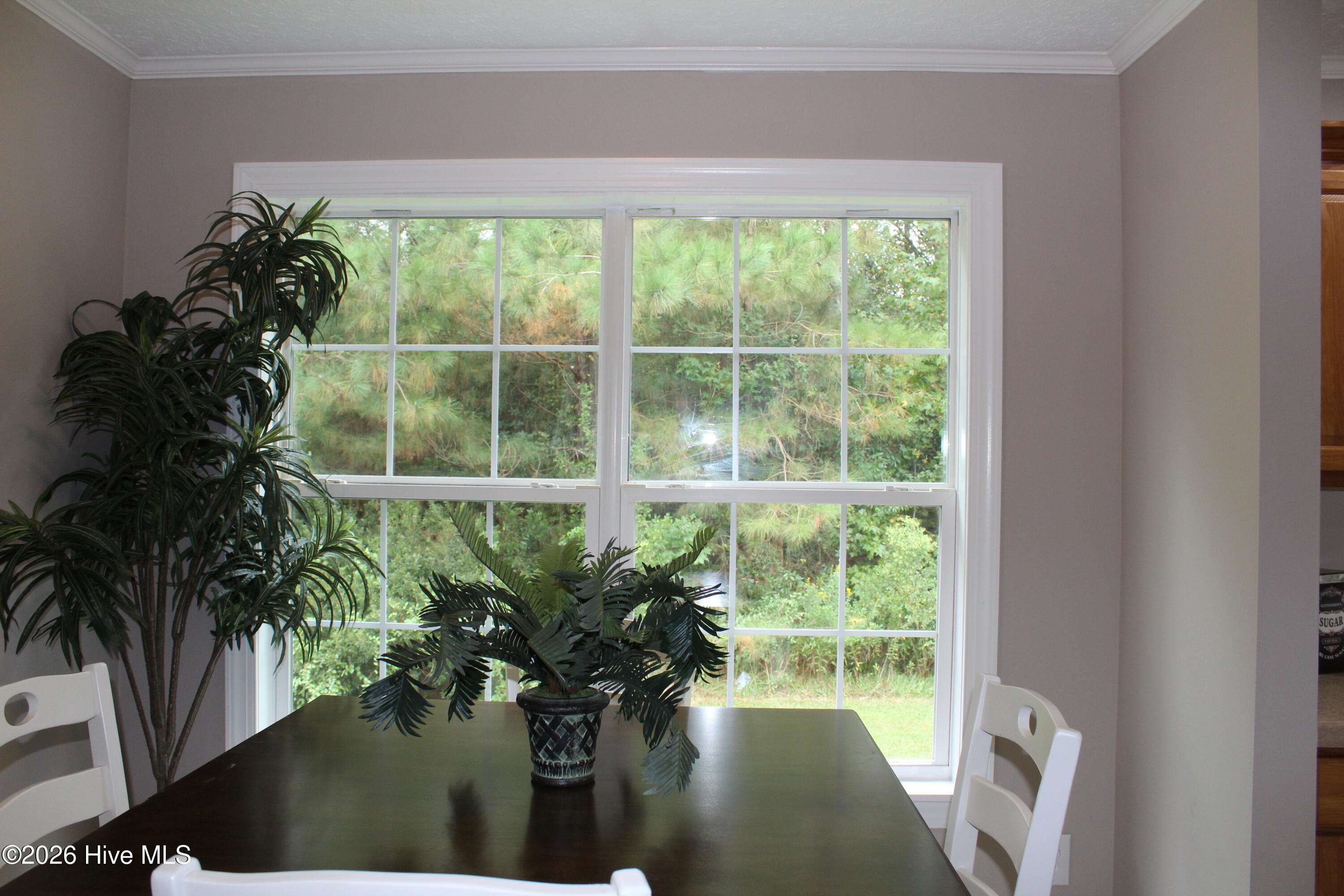 1174 Haw Branch Road Property Photo 13