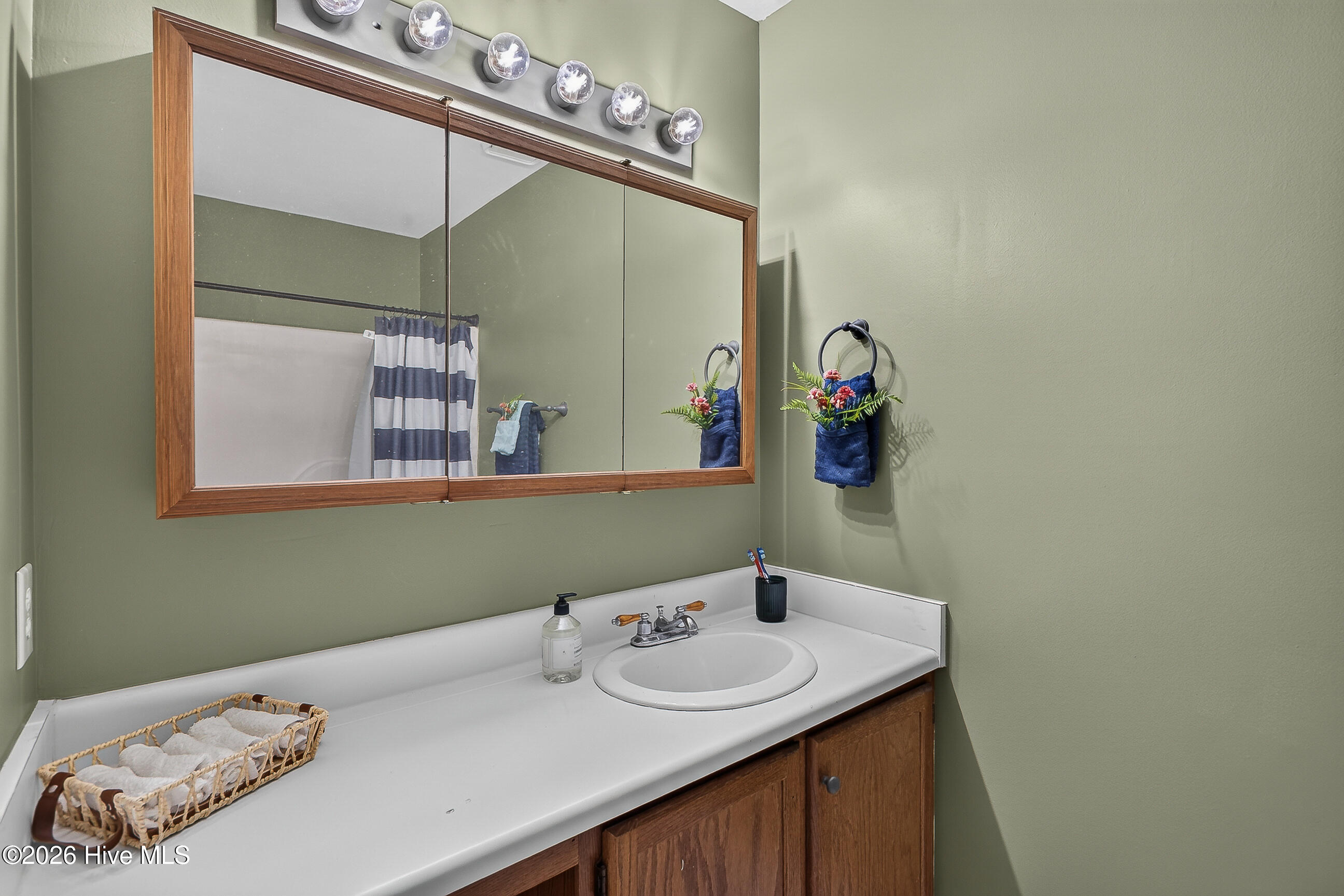 1204 Spring Villa Court Property Photo 18