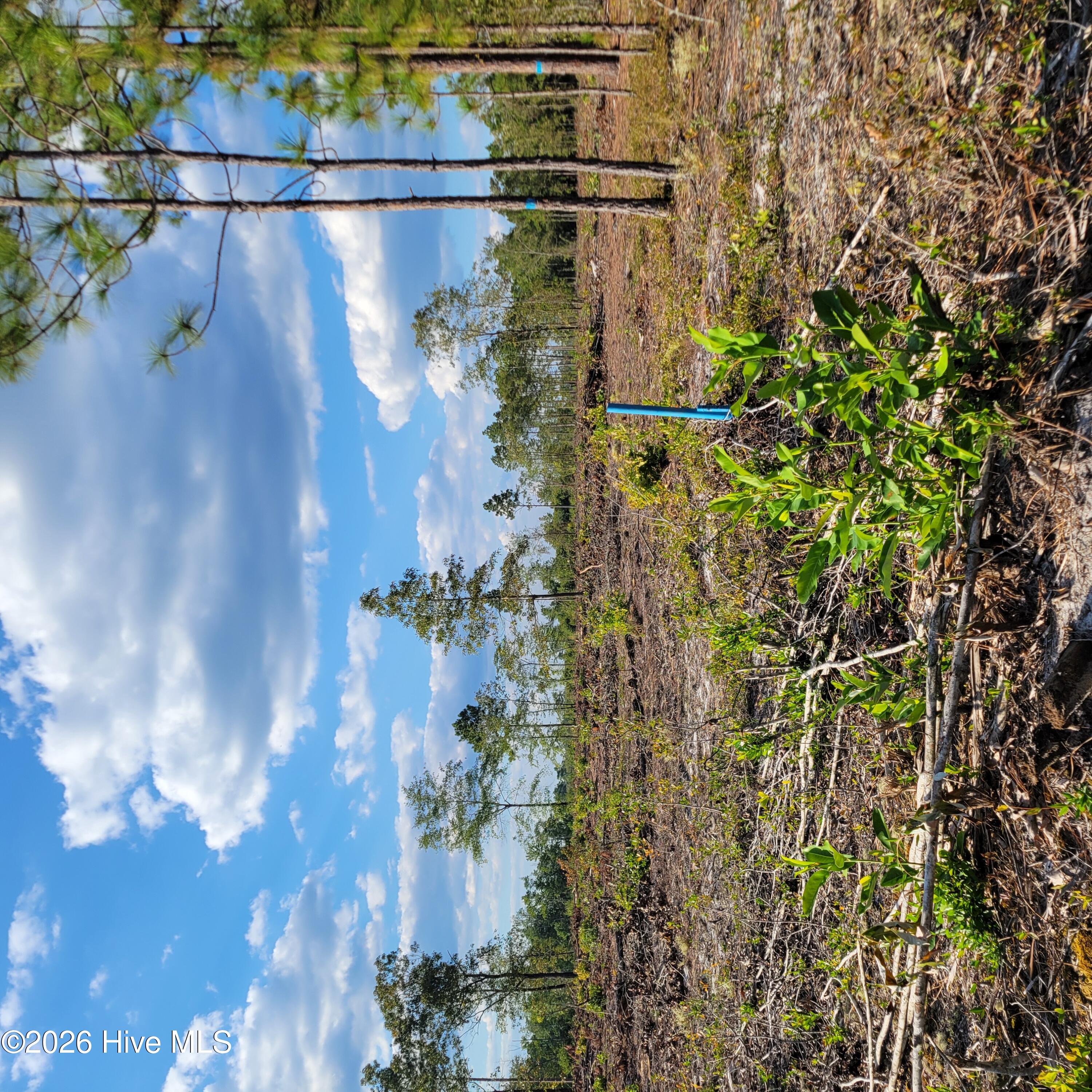Lot 0 Moores Swamp Road Property Photo 1