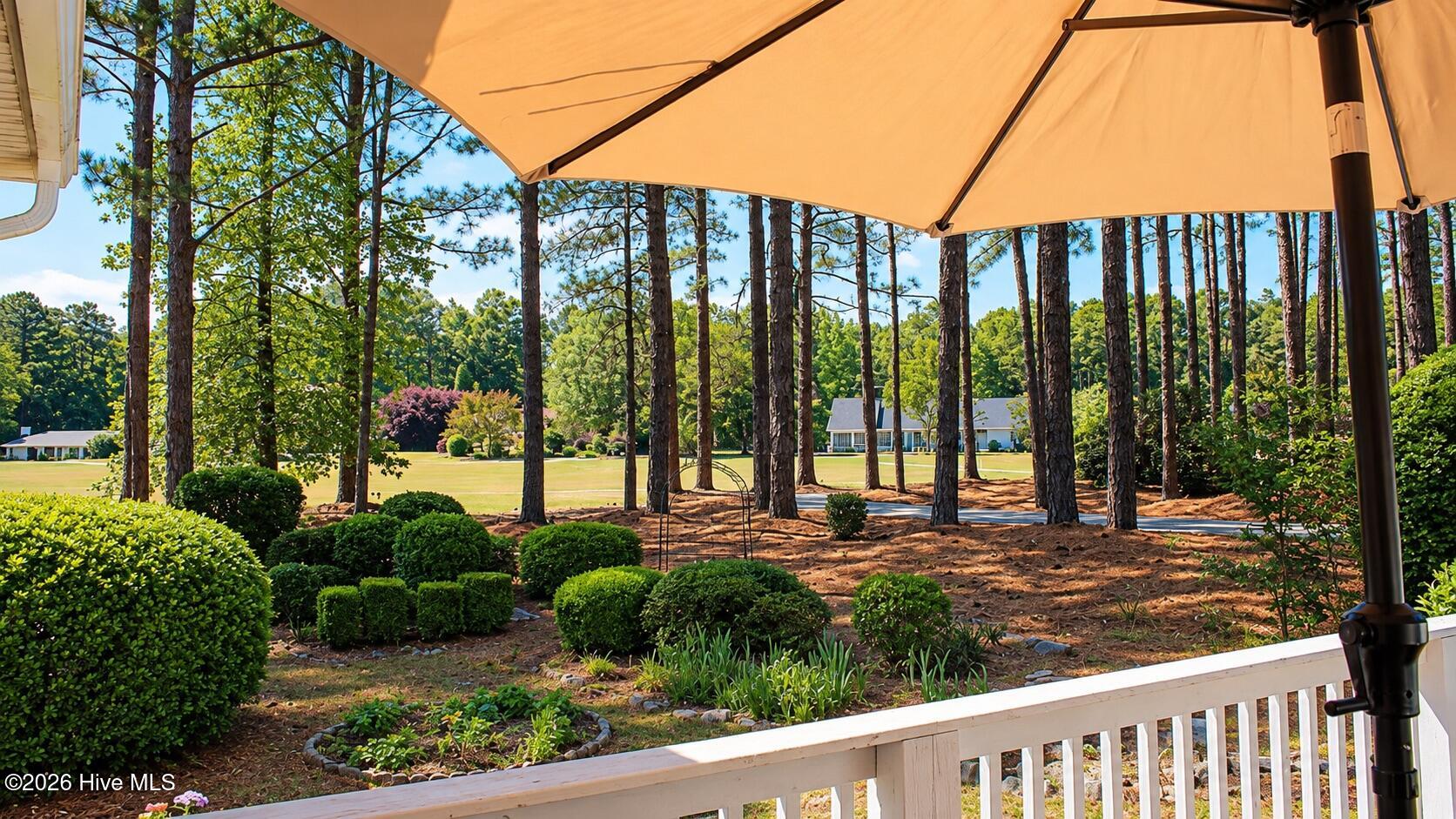 83 Traceway Property Photo 23