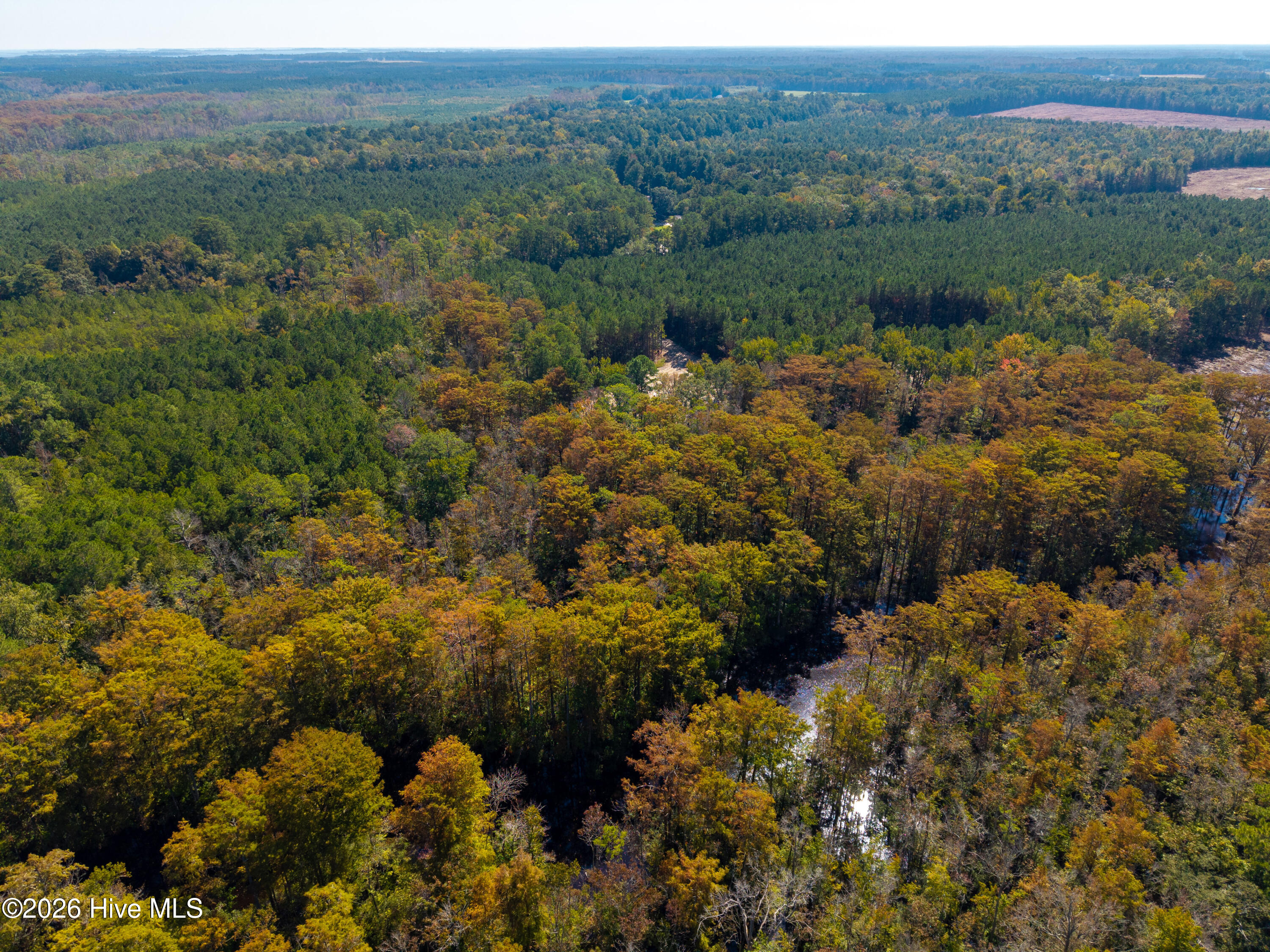 Lot # 1 Lot # 1 East Ridge Road Property Photo 18