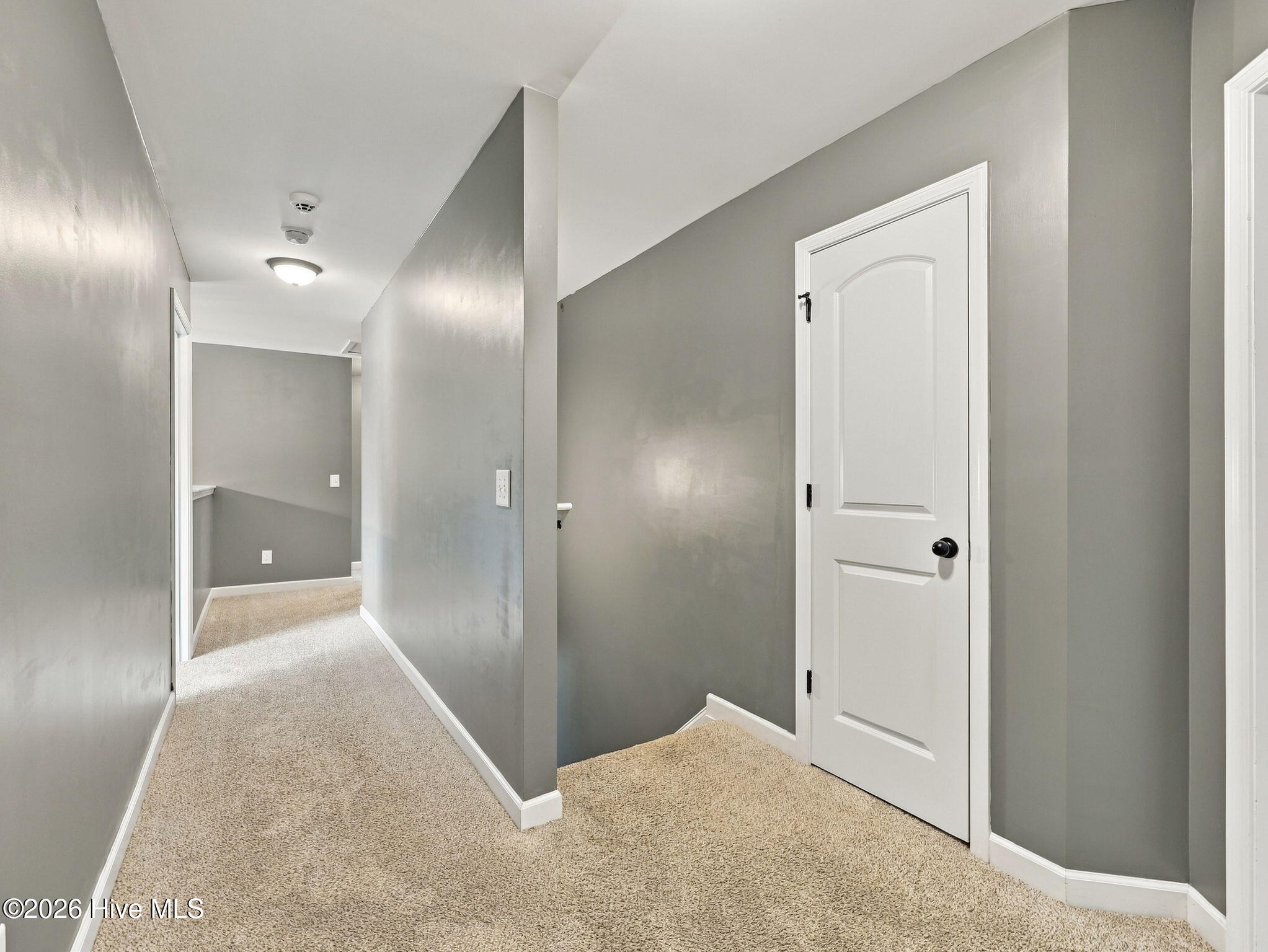 103 Cloud 9 Drive Property Photo 38
