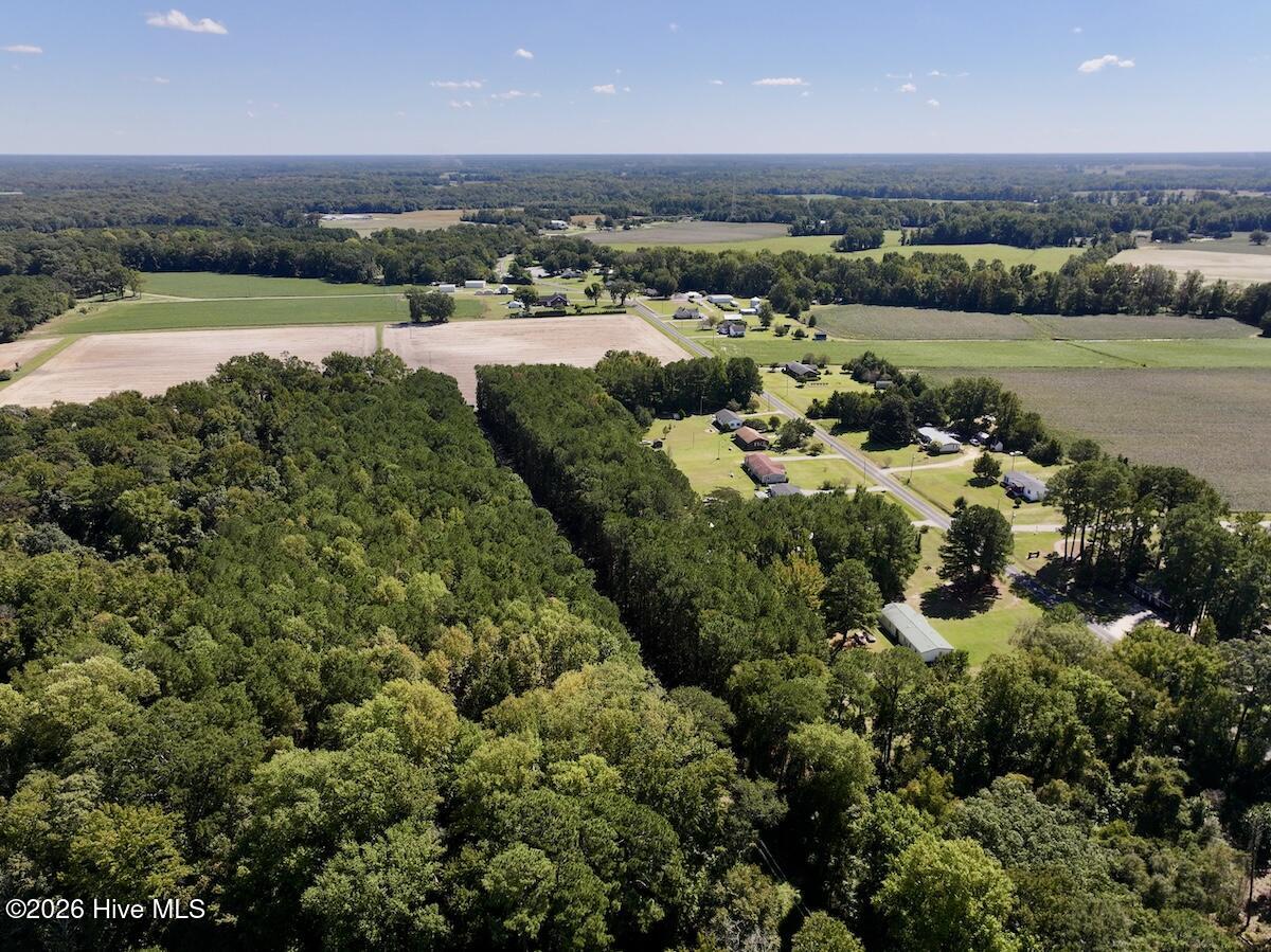 445 Morris Bbq Road Property Photo 7
