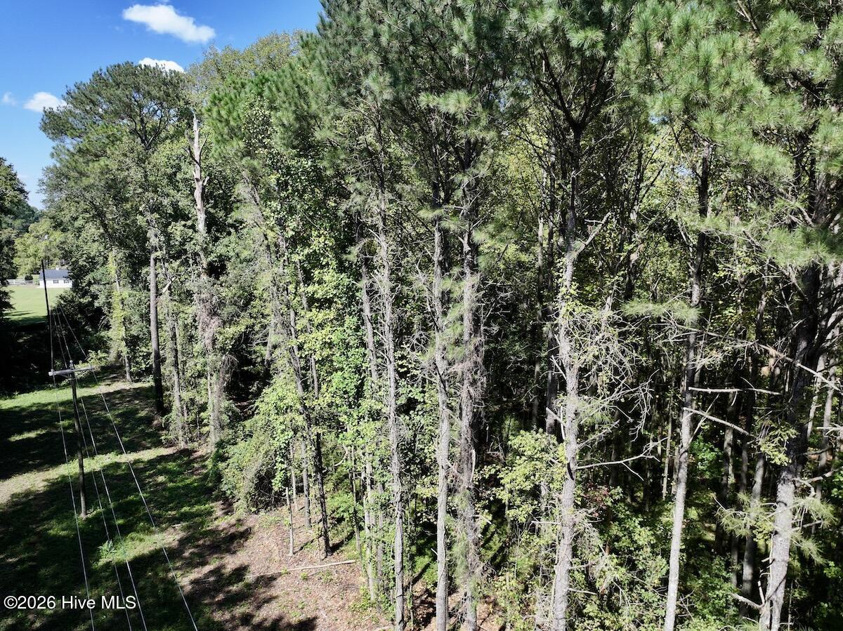 445 Morris Bbq Road Property Photo 10
