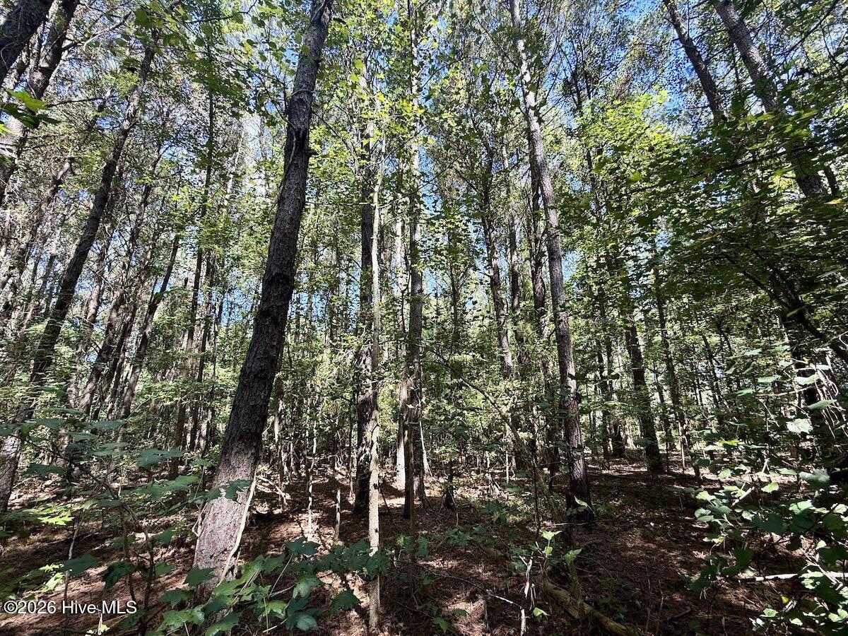 445 Morris Bbq Road Property Photo 11