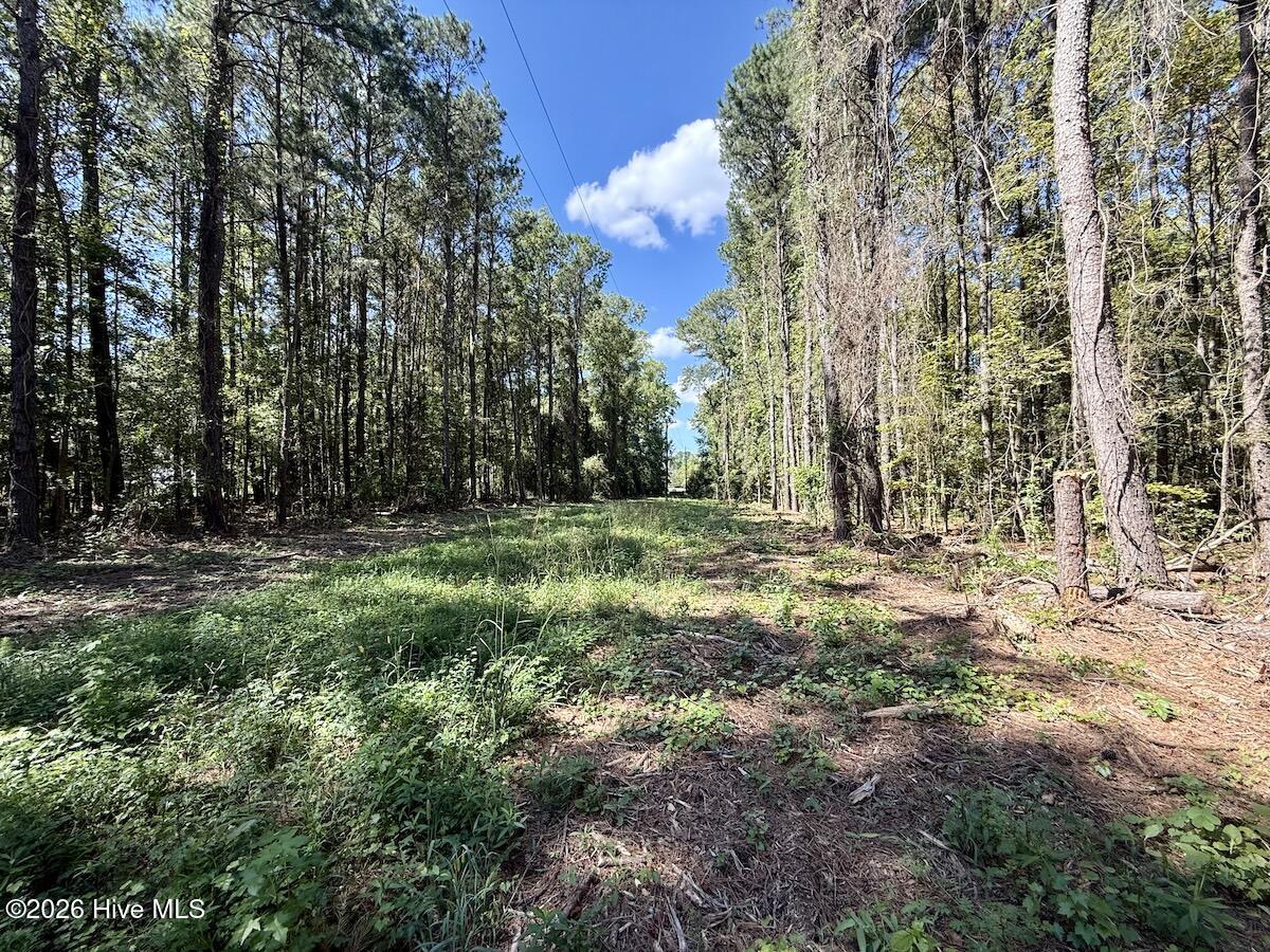 445 Morris Bbq Road Property Photo 15