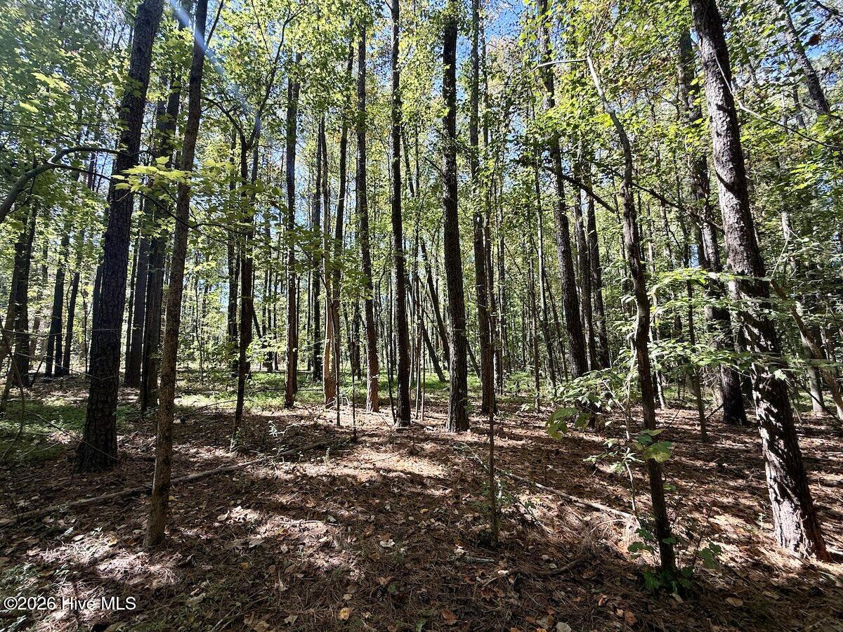445 Morris Bbq Road Property Photo 16