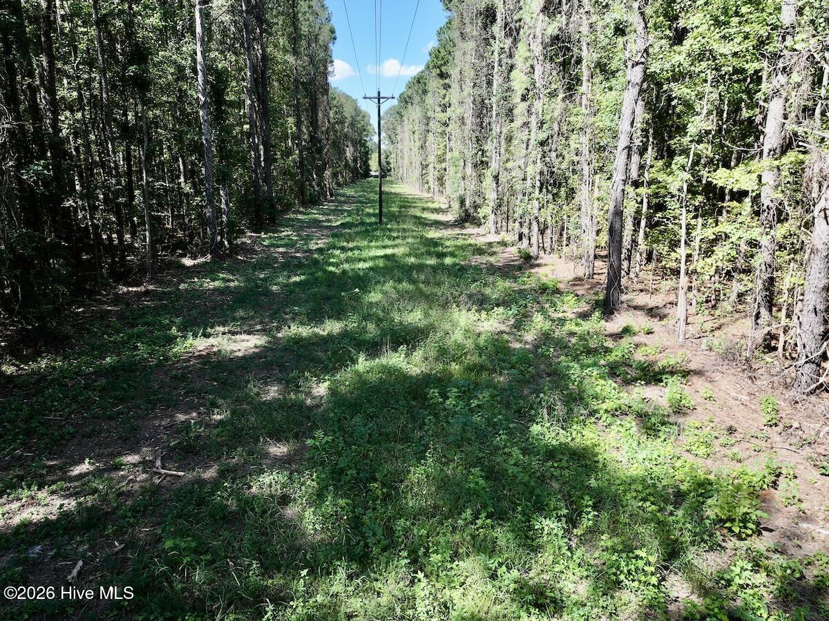 445 Morris Bbq Road Property Photo 18