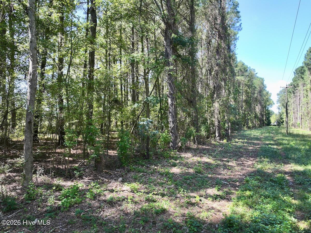 445 Morris Bbq Road Property Photo 19