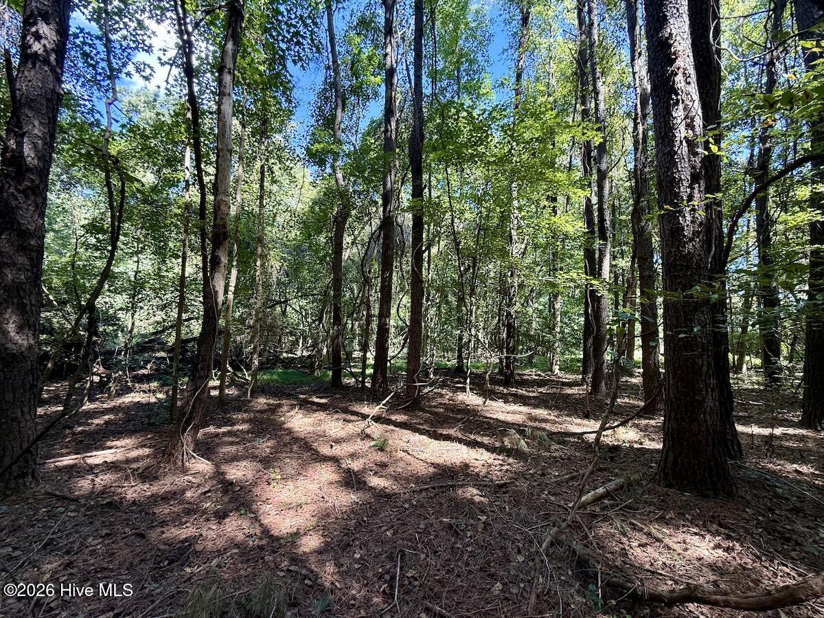 445 Morris Bbq Road Property Photo 20