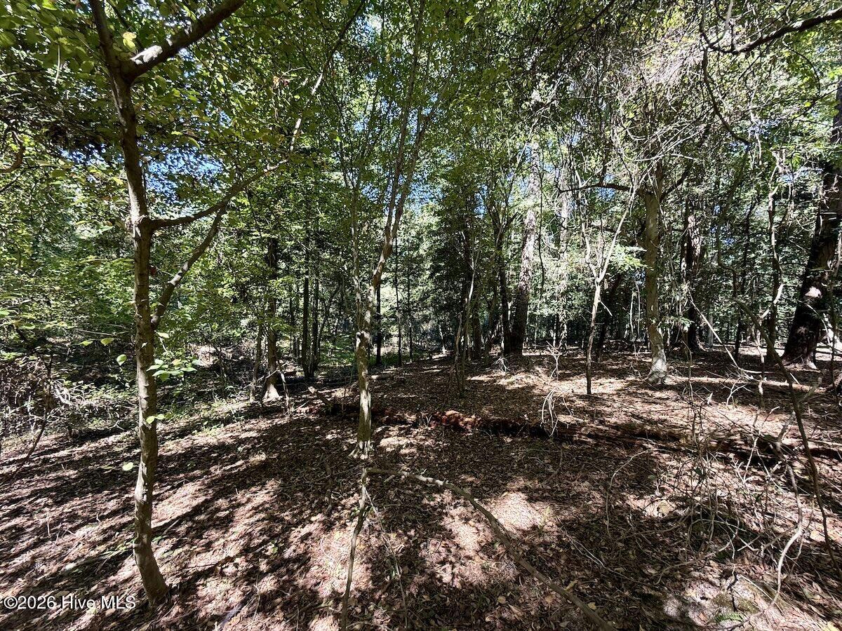 445 Morris Bbq Road Property Photo 21